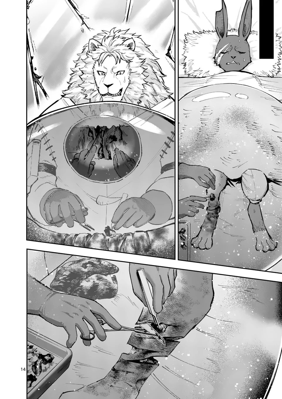 Page 14