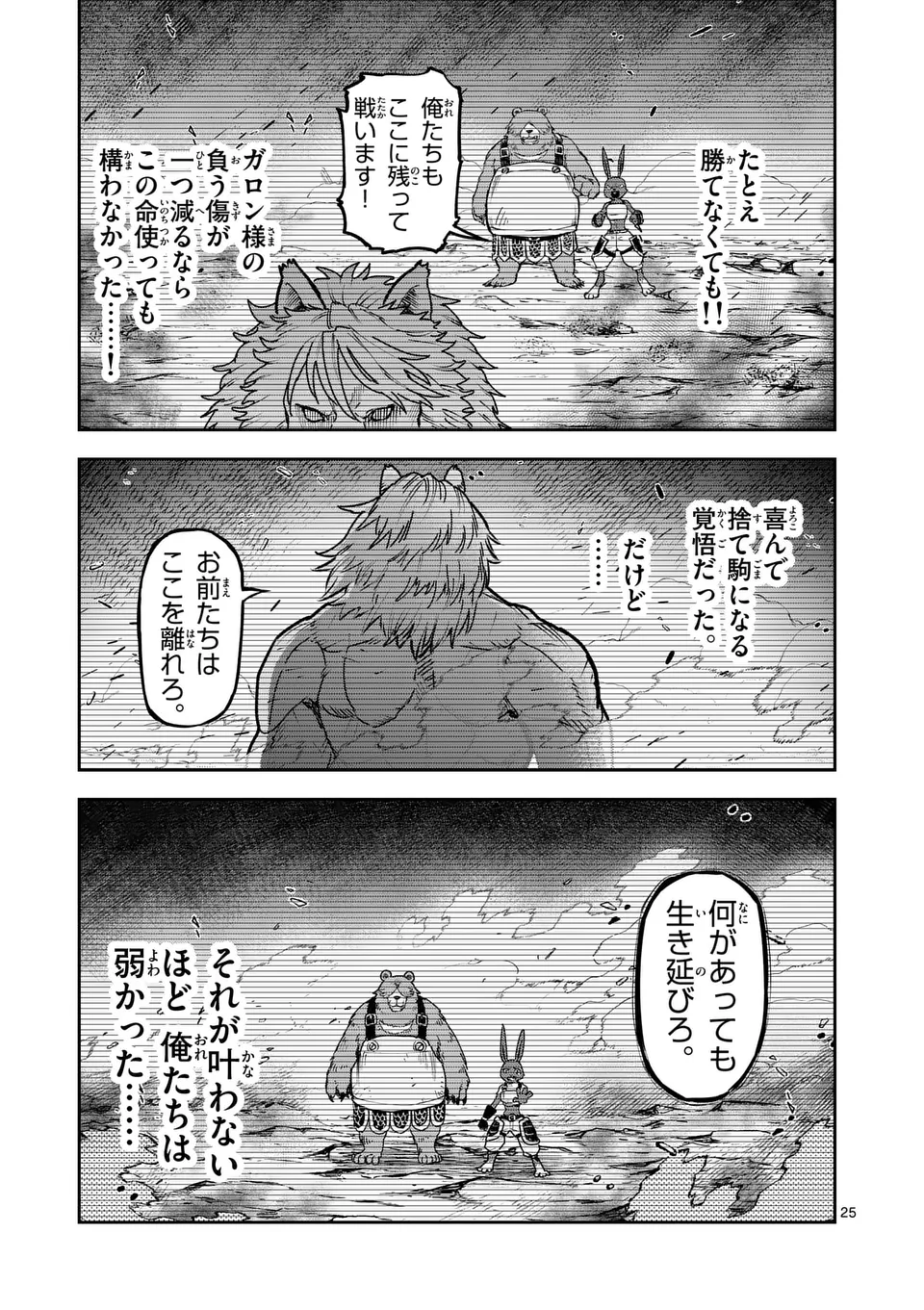 Page 25