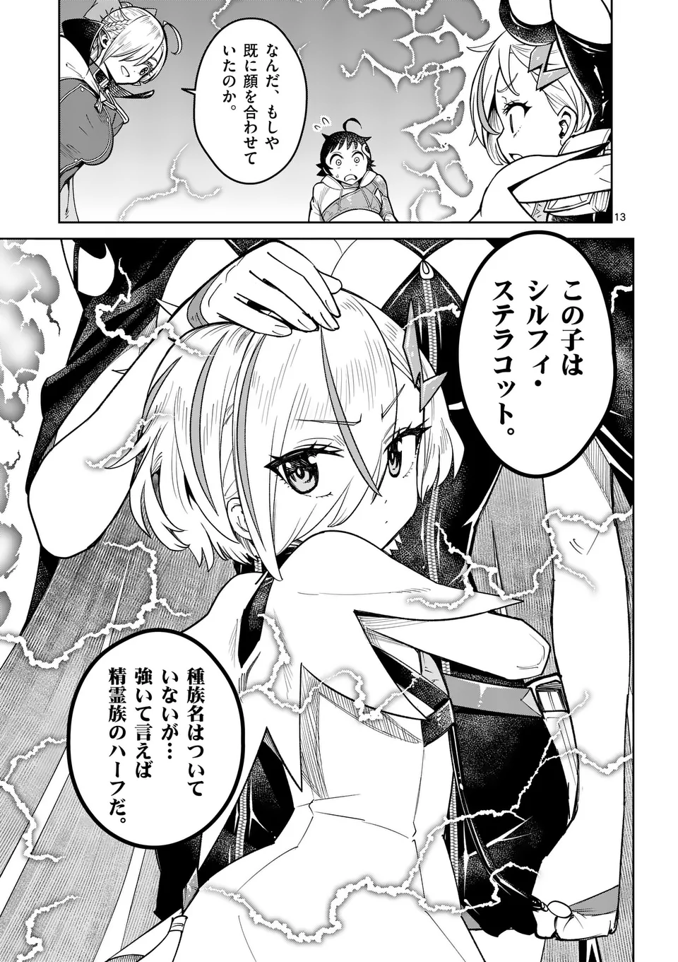 Page 13