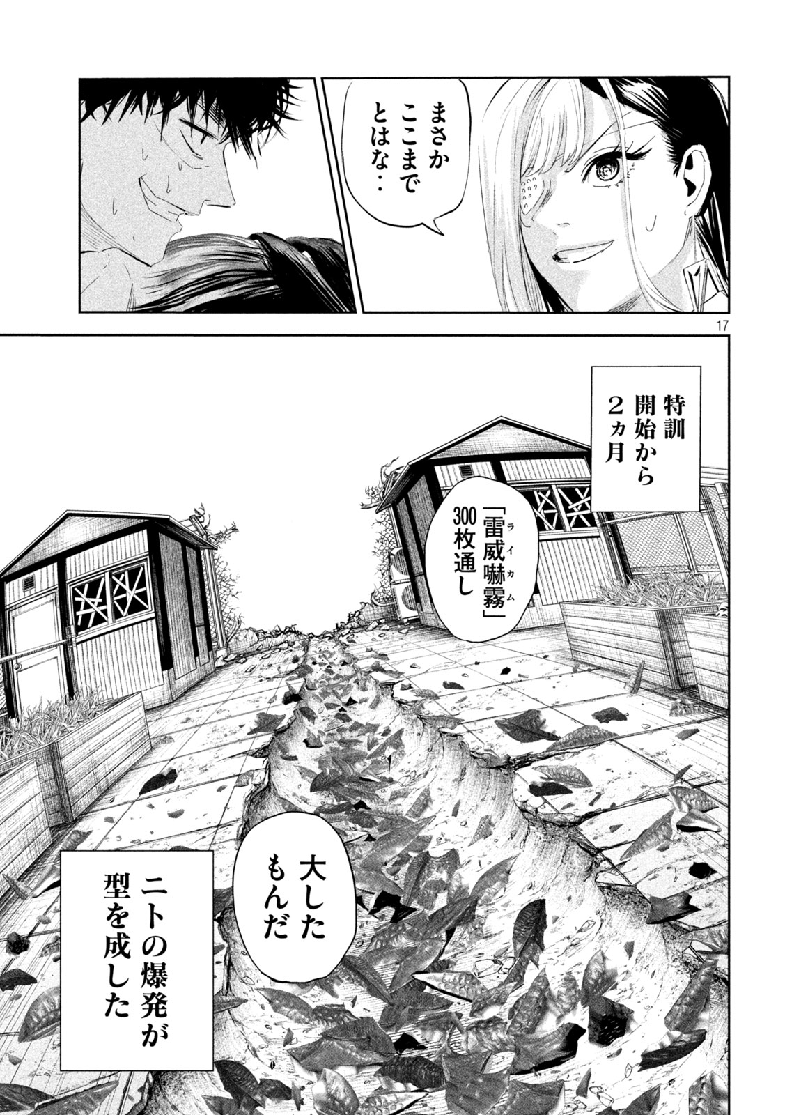 Page 17