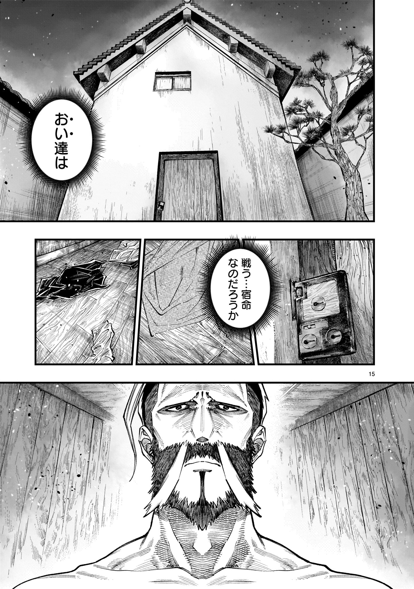 Page 15