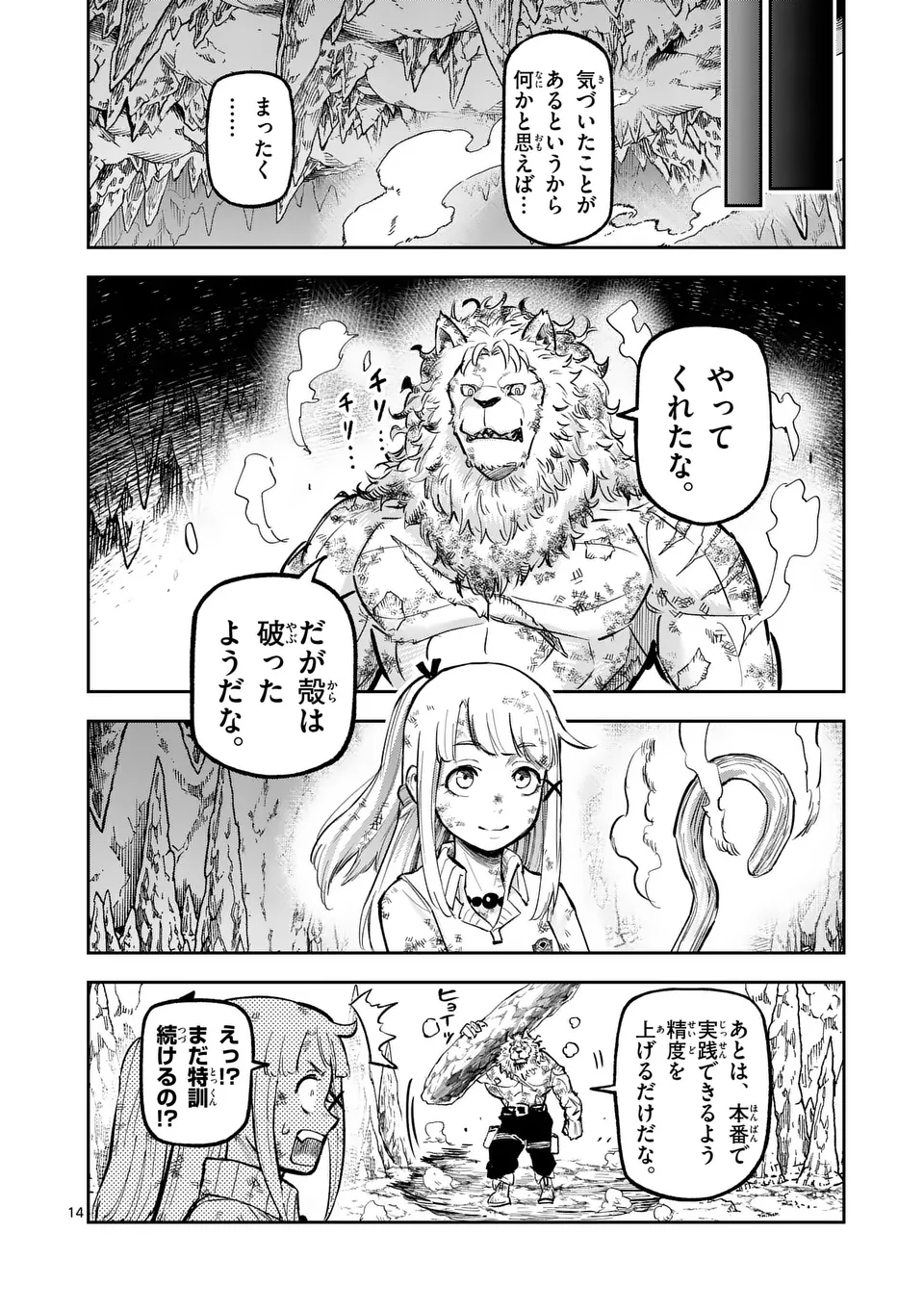 Page 14