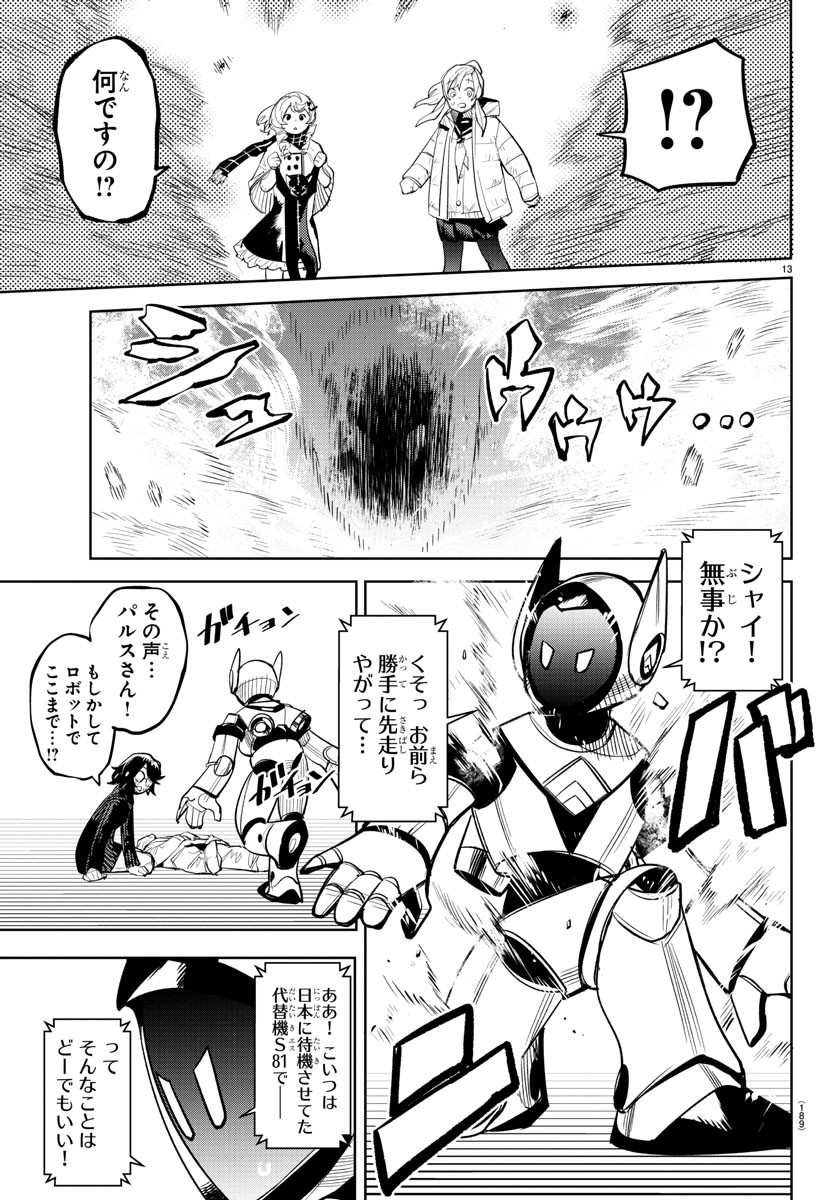 Page 13