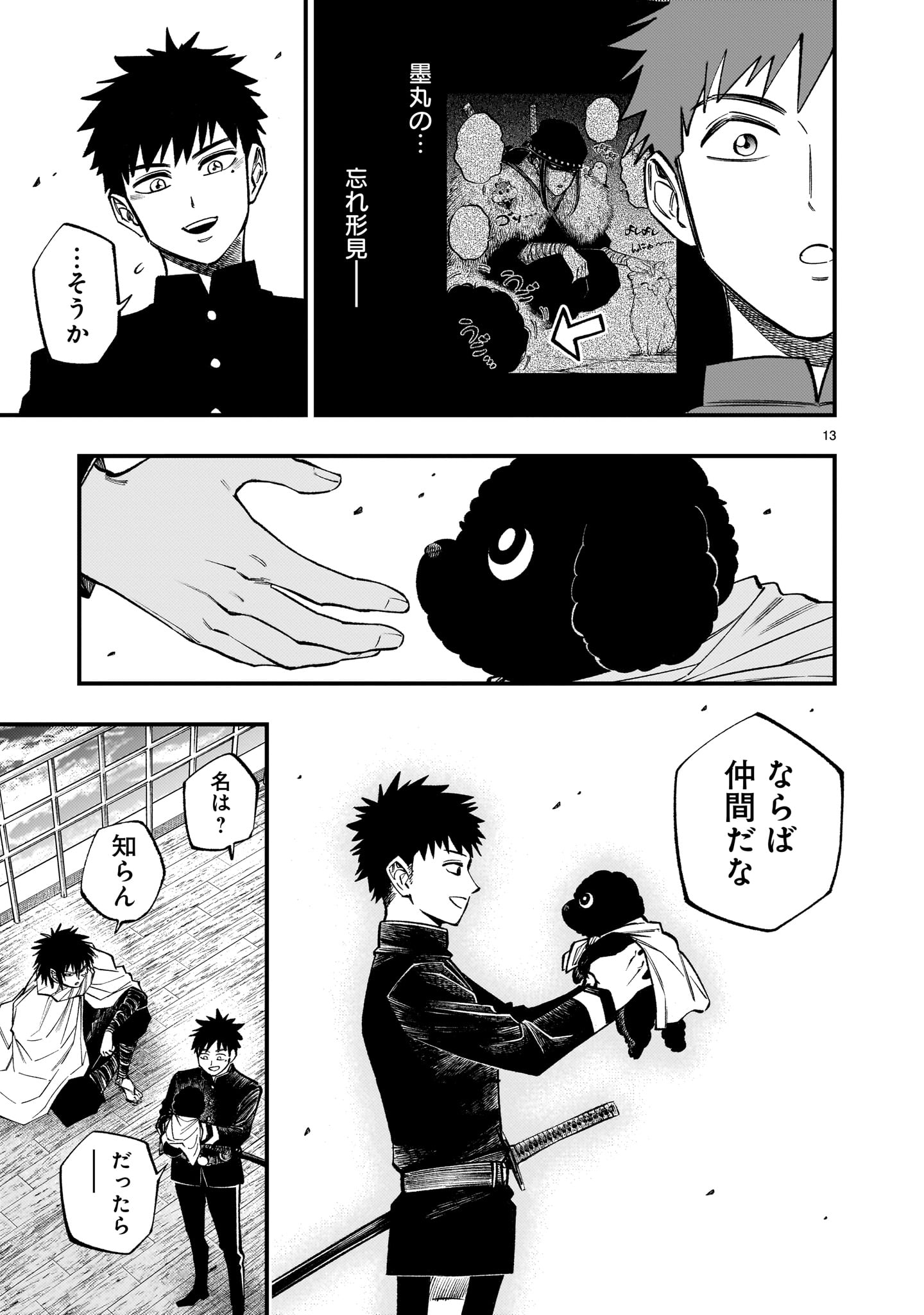 Page 13