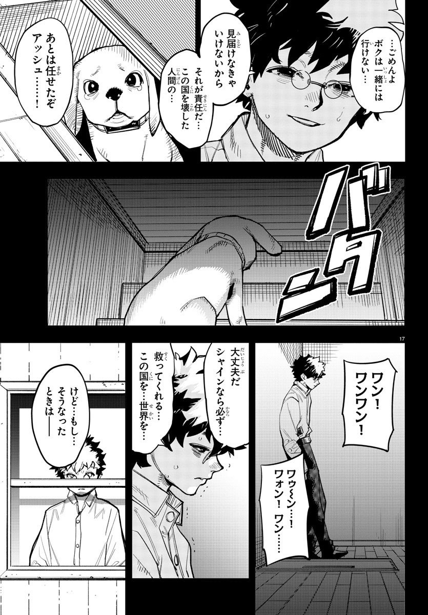Page 17