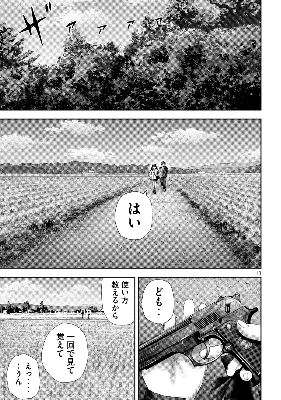 Page 13