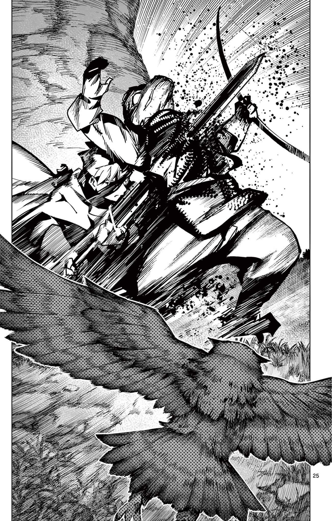 Page 25
