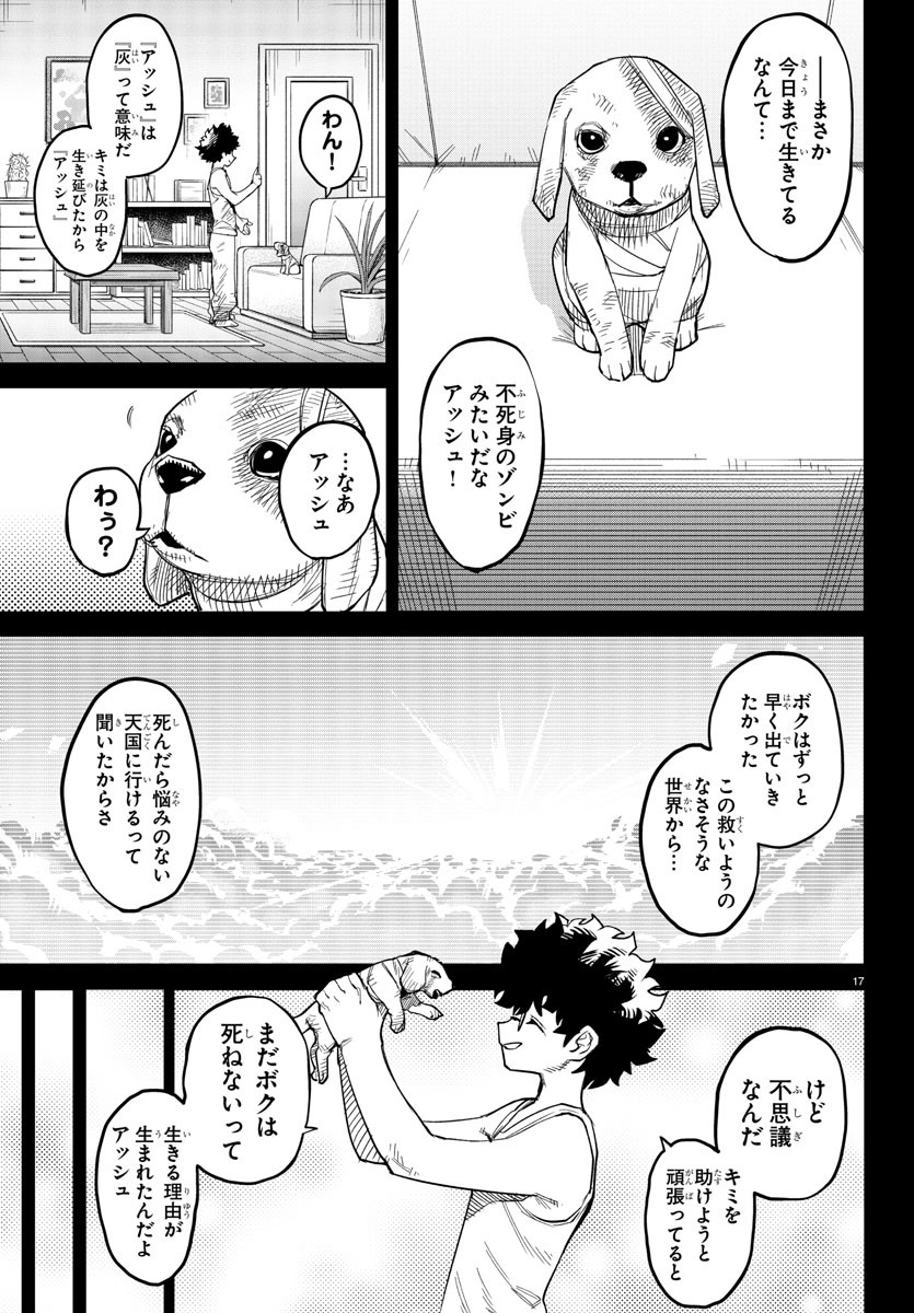 Page 17