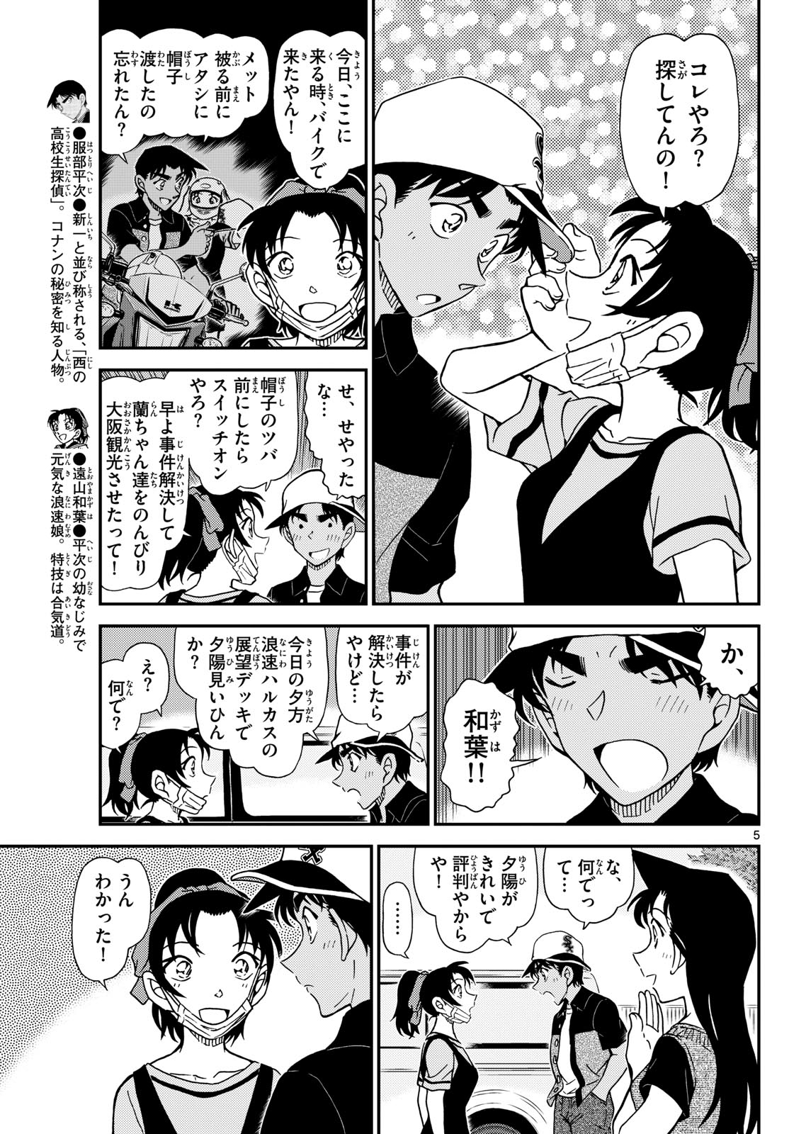 Page 5