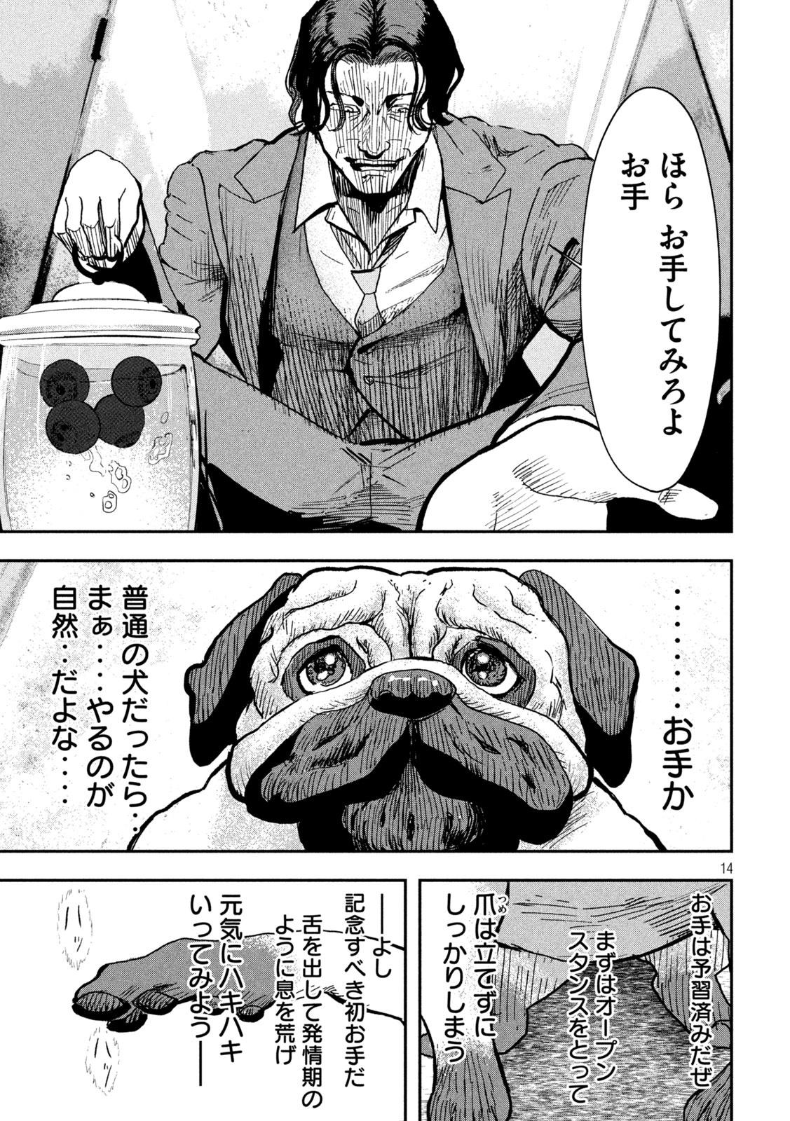 Page 14