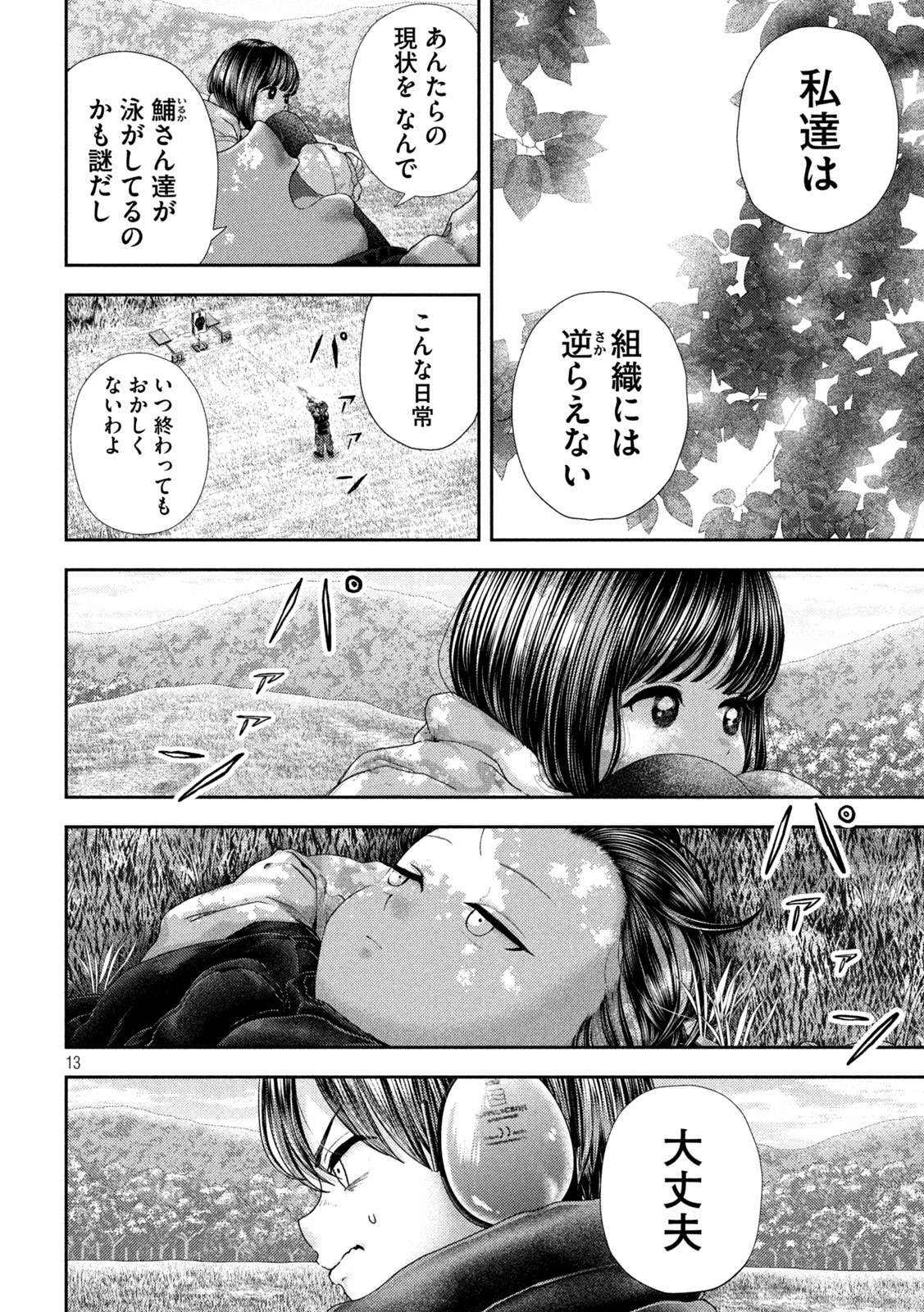 Page 13