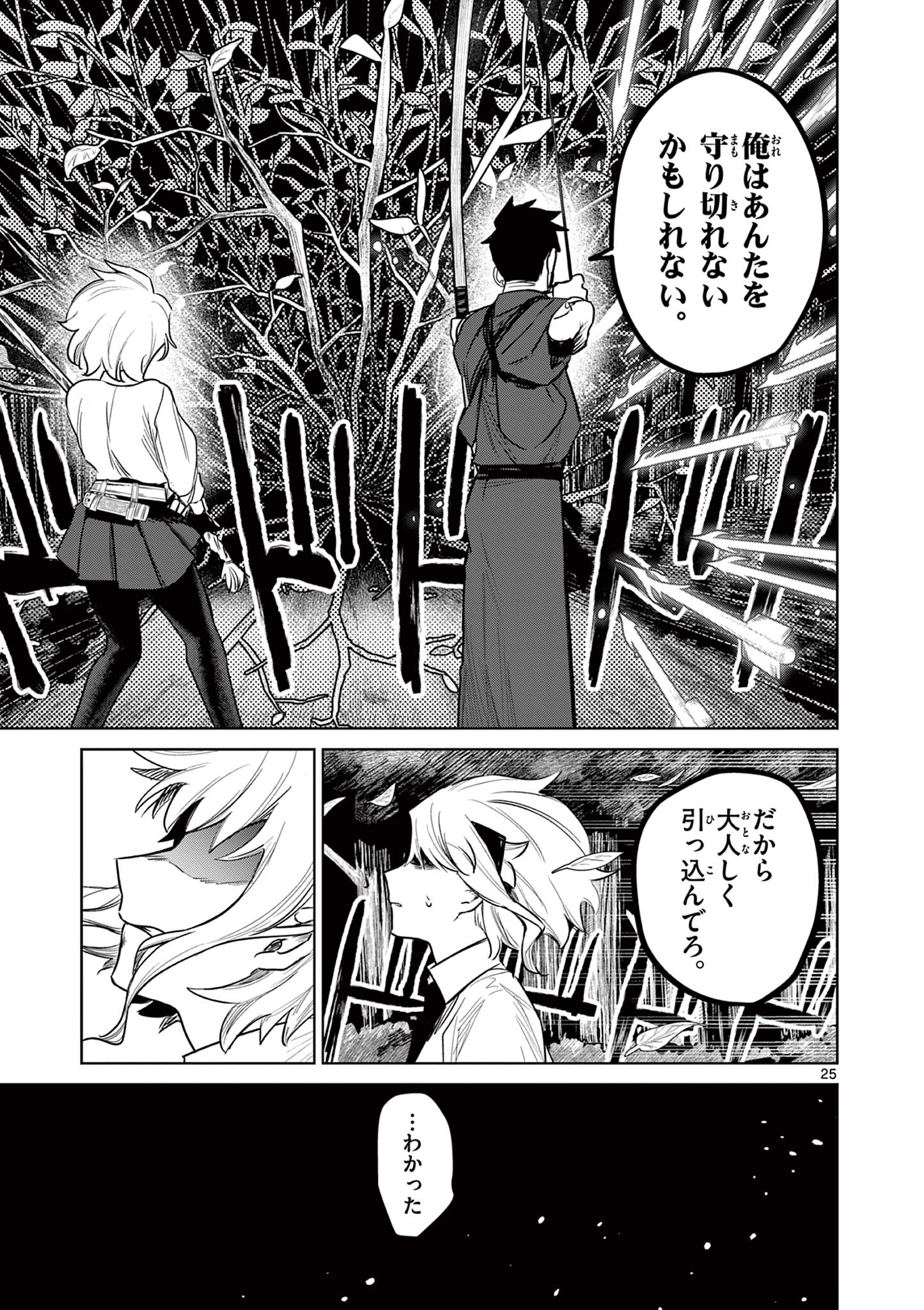 Page 25