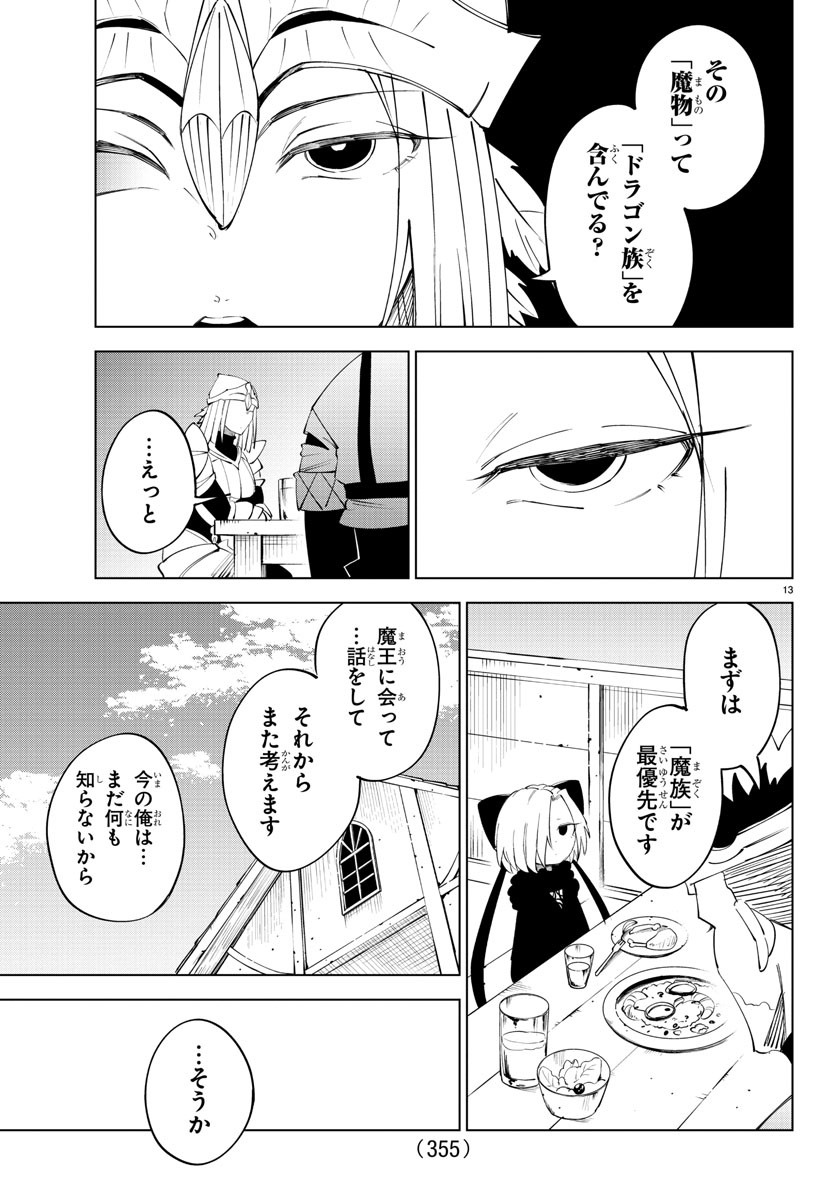 Page 13