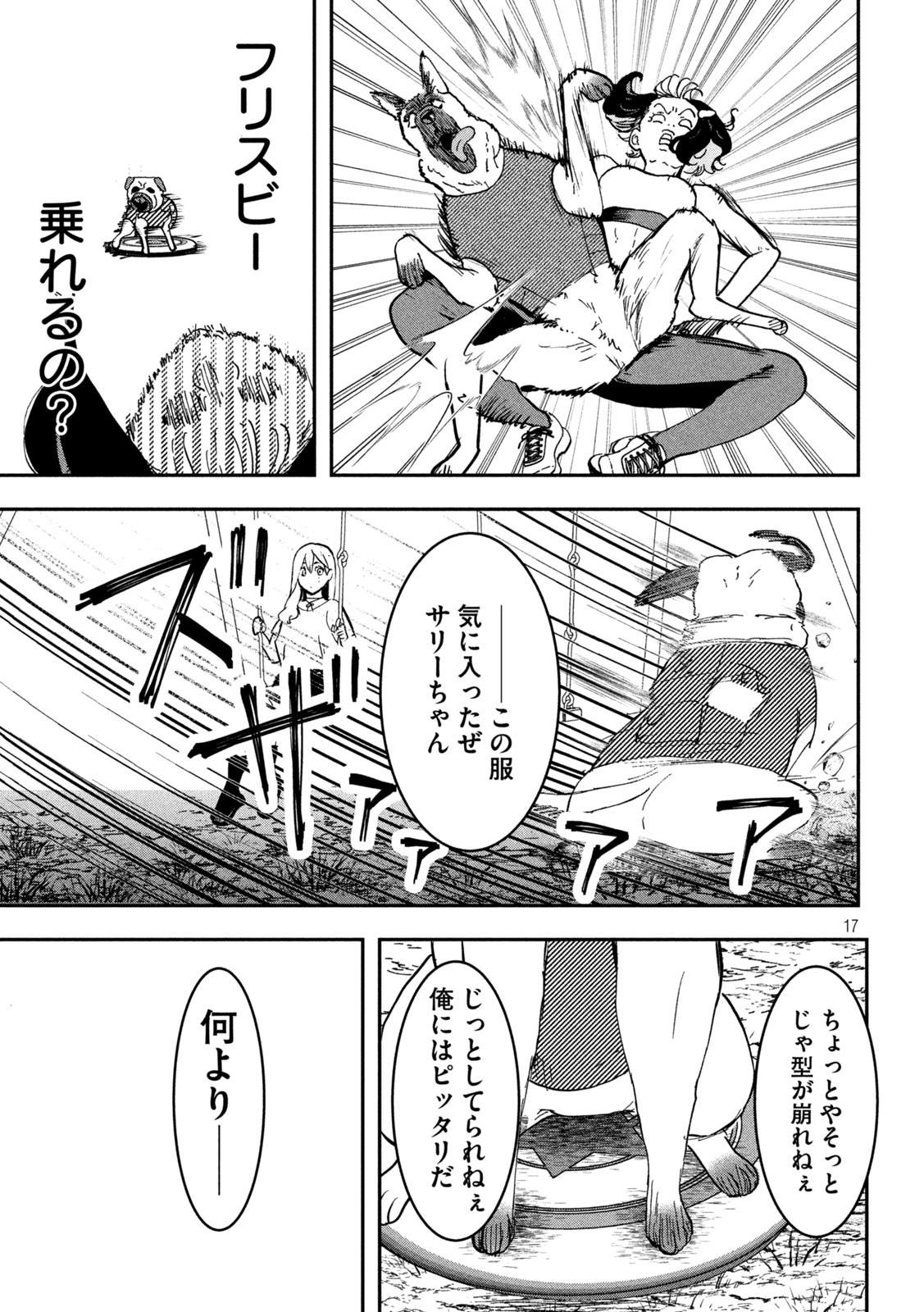 Page 17