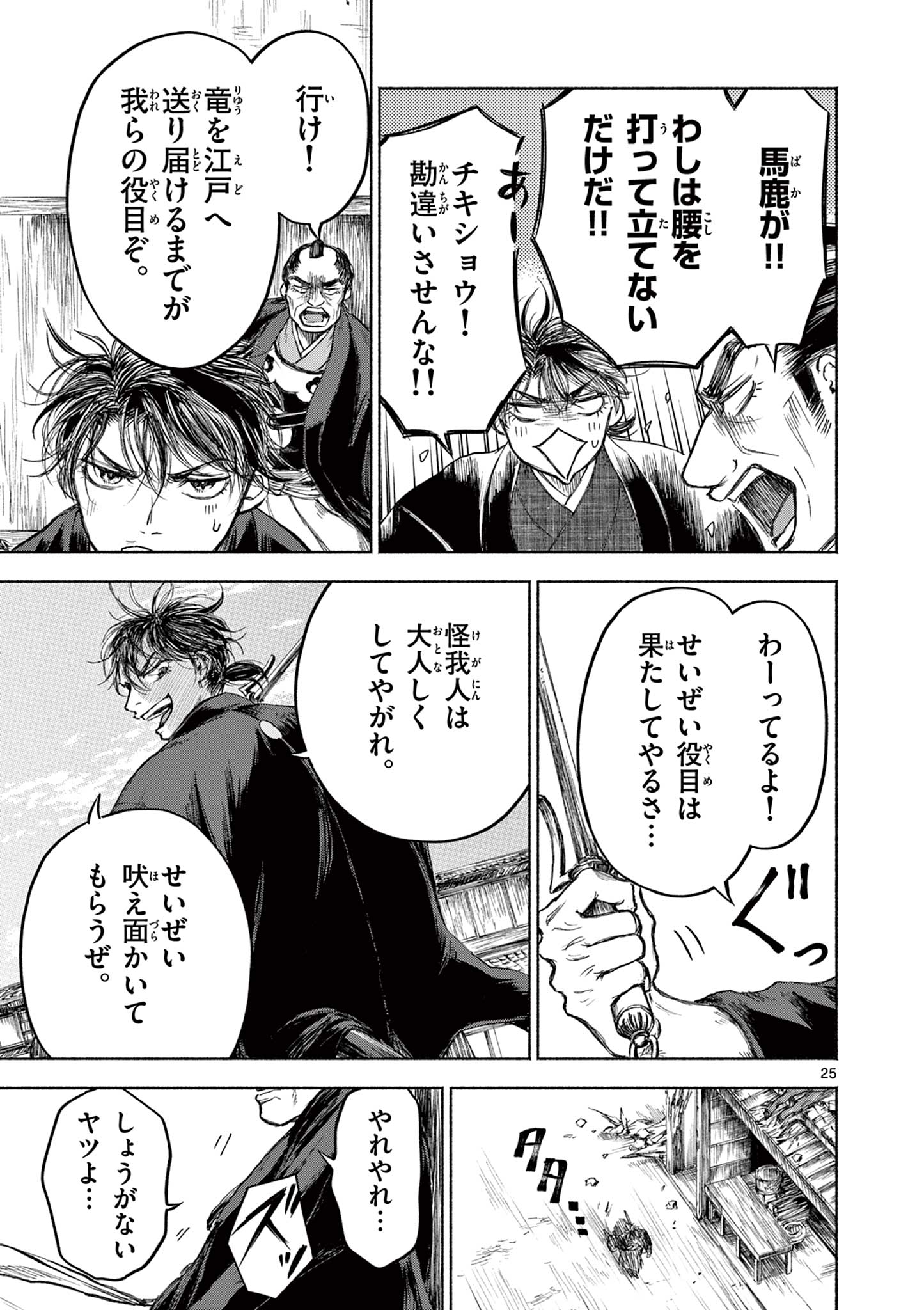 Page 25