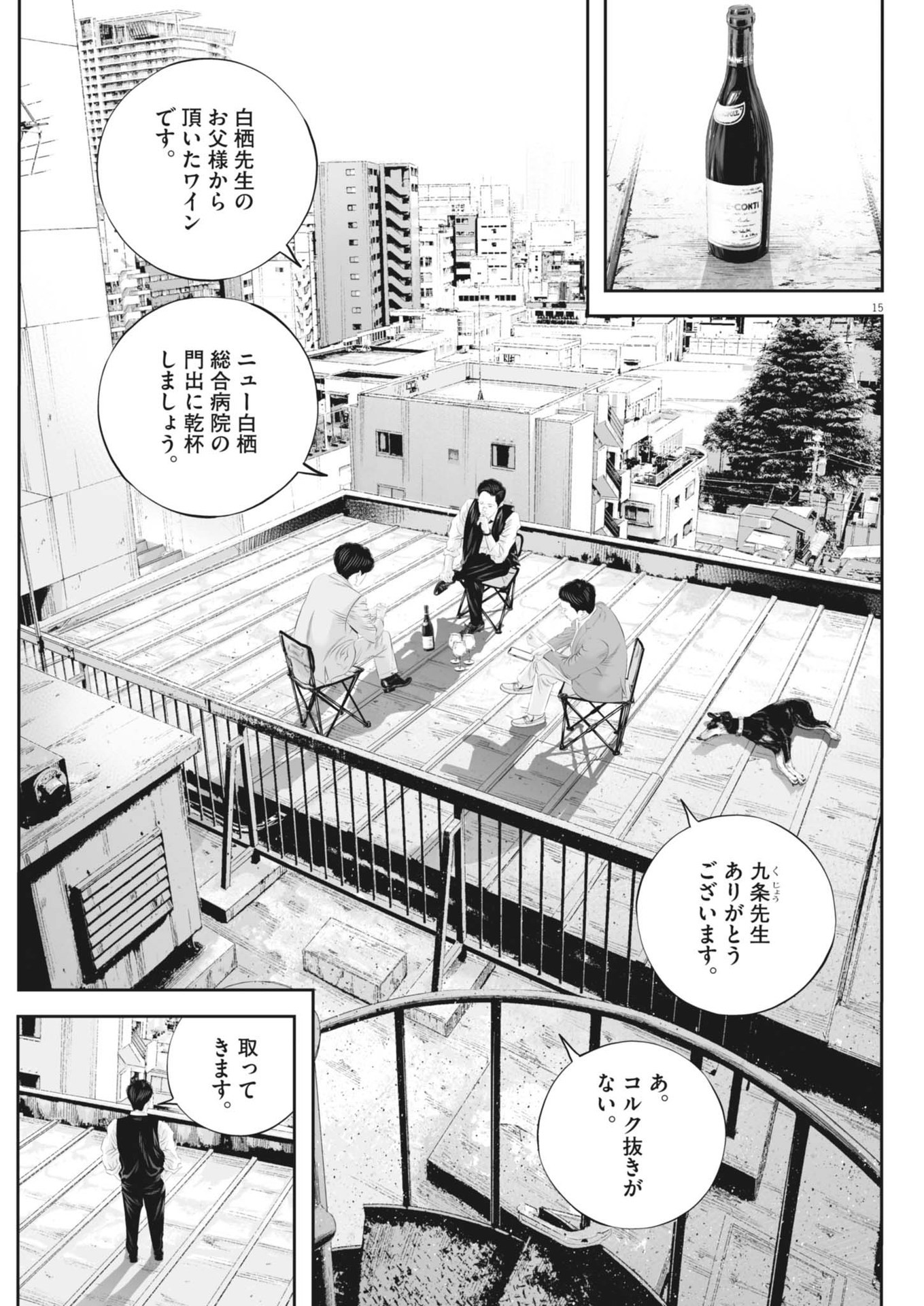 Page 15