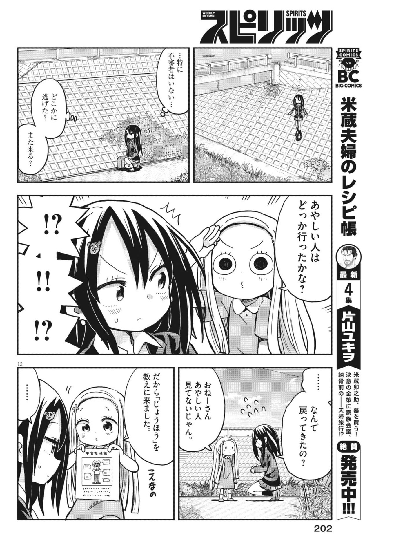 Page 12