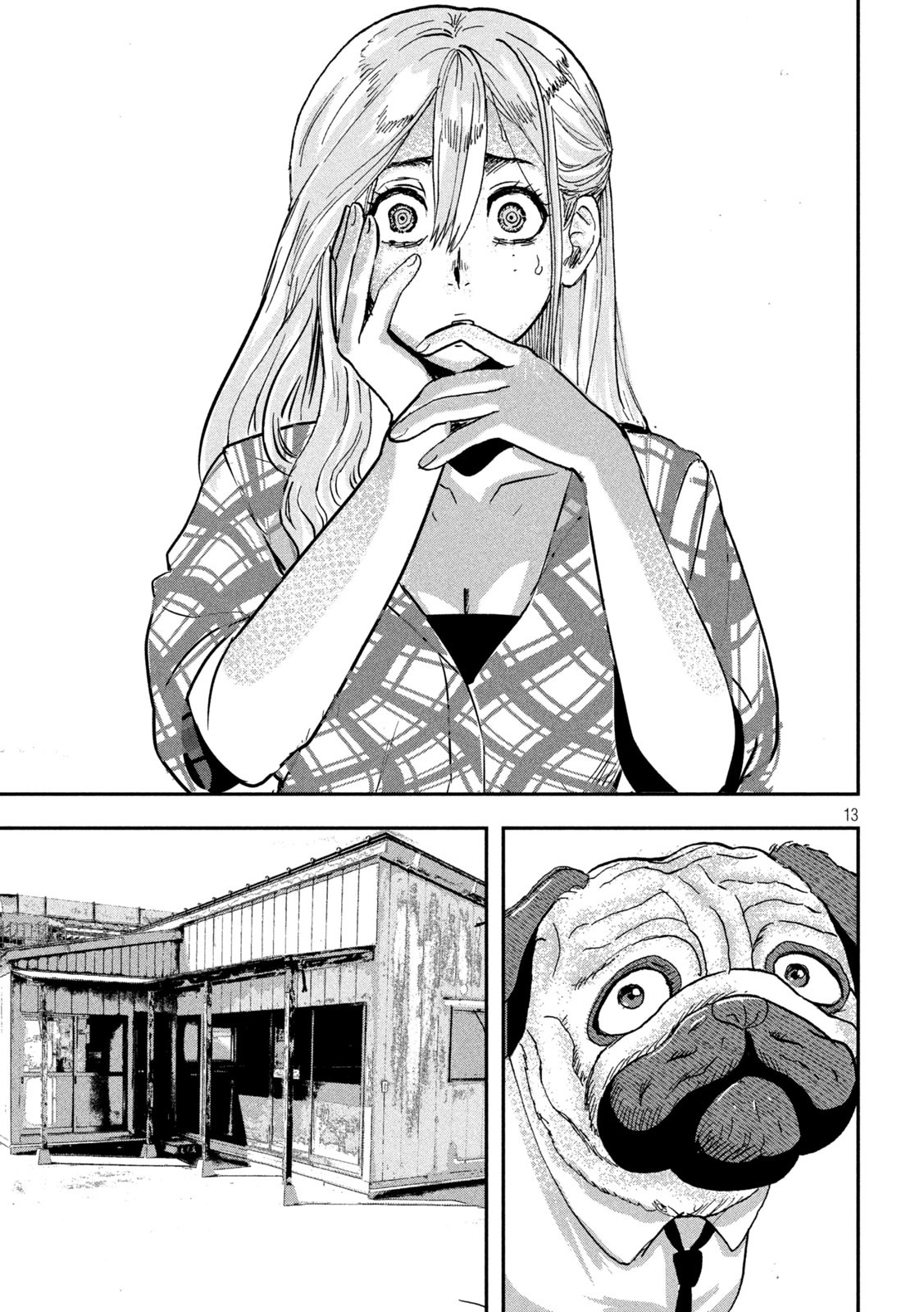 Page 13
