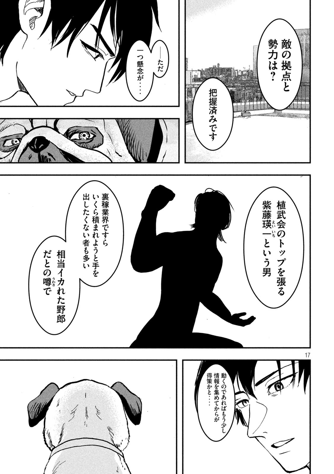 Page 17