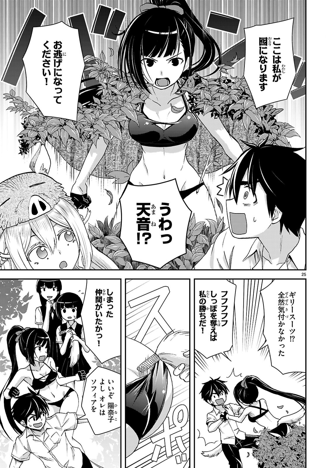 Page 25