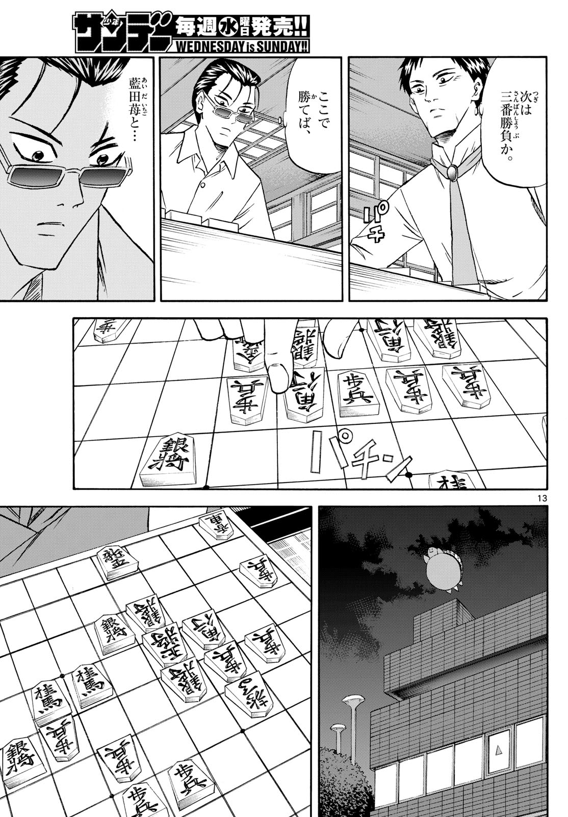 Page 13