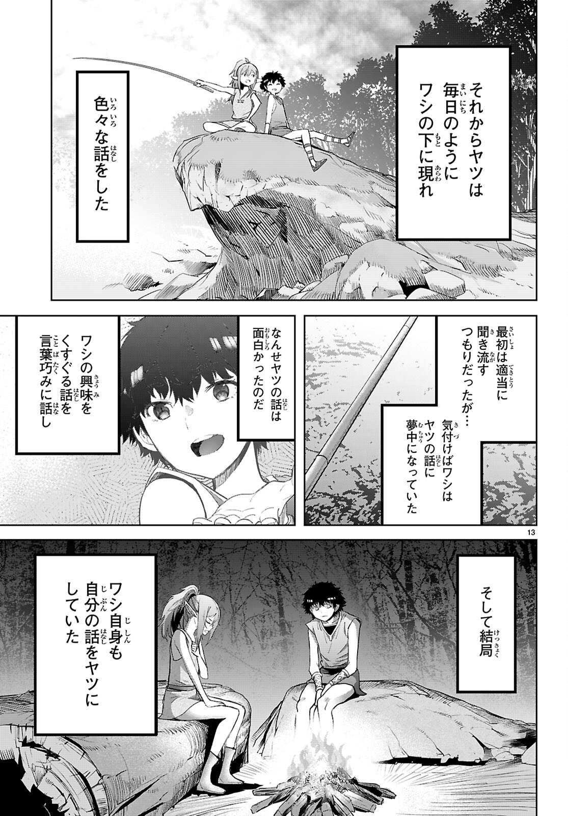 Page 13
