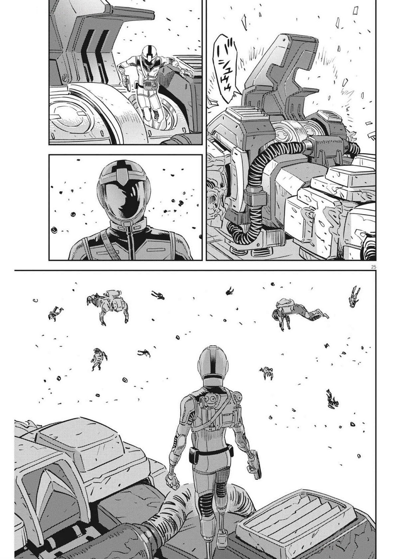 Page 25