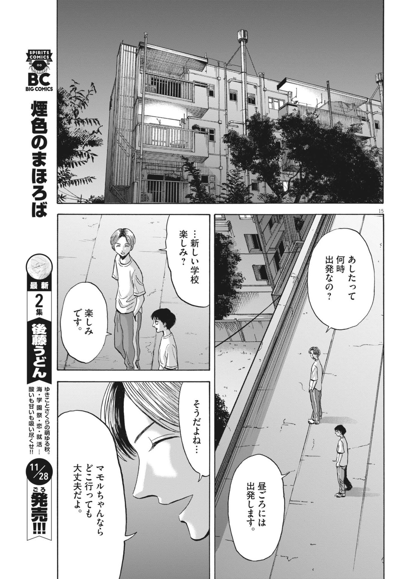 Page 15