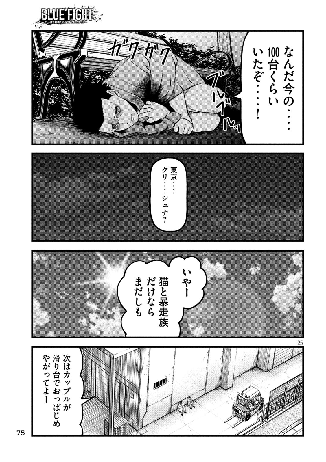 Page 25