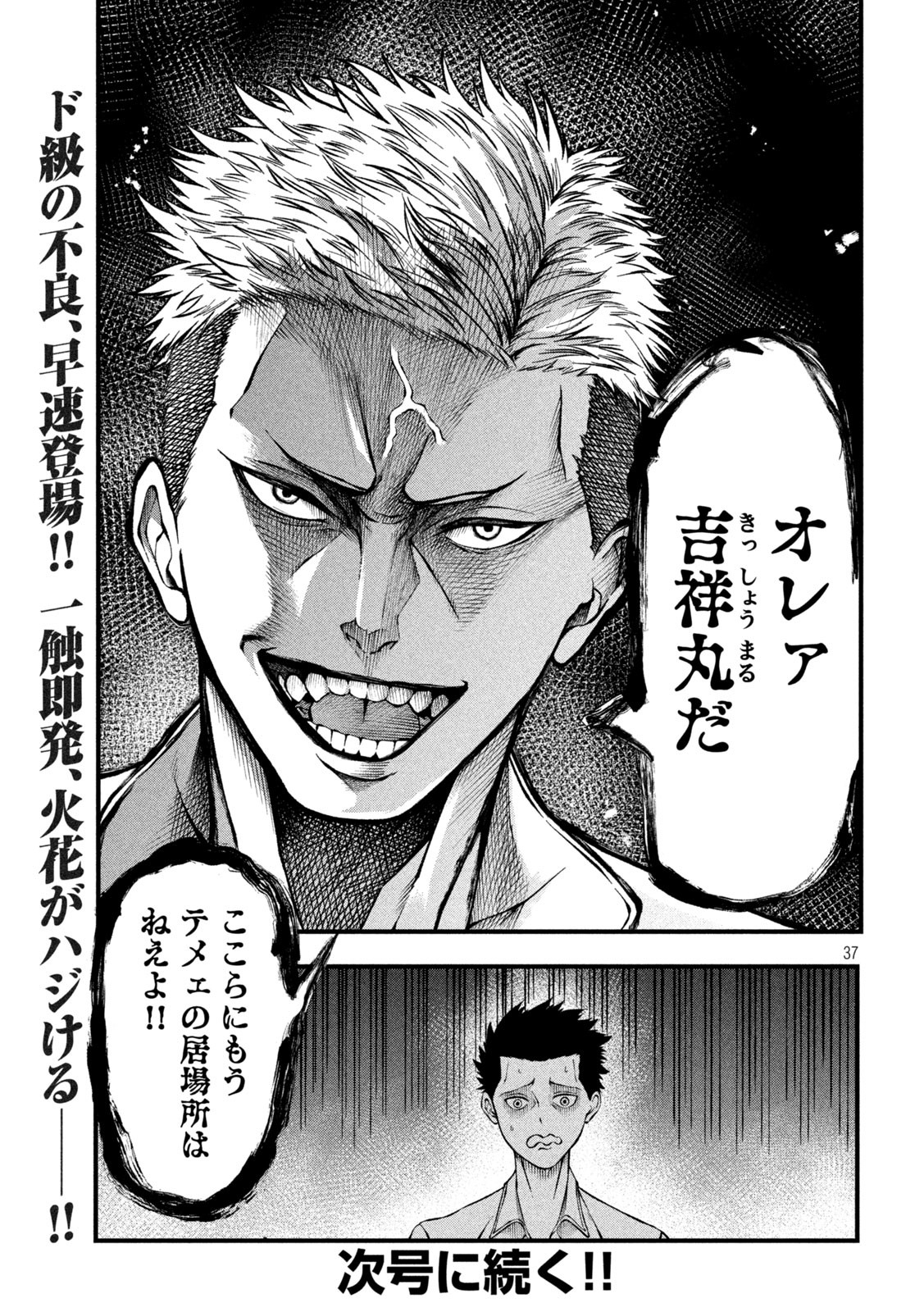 Page 37