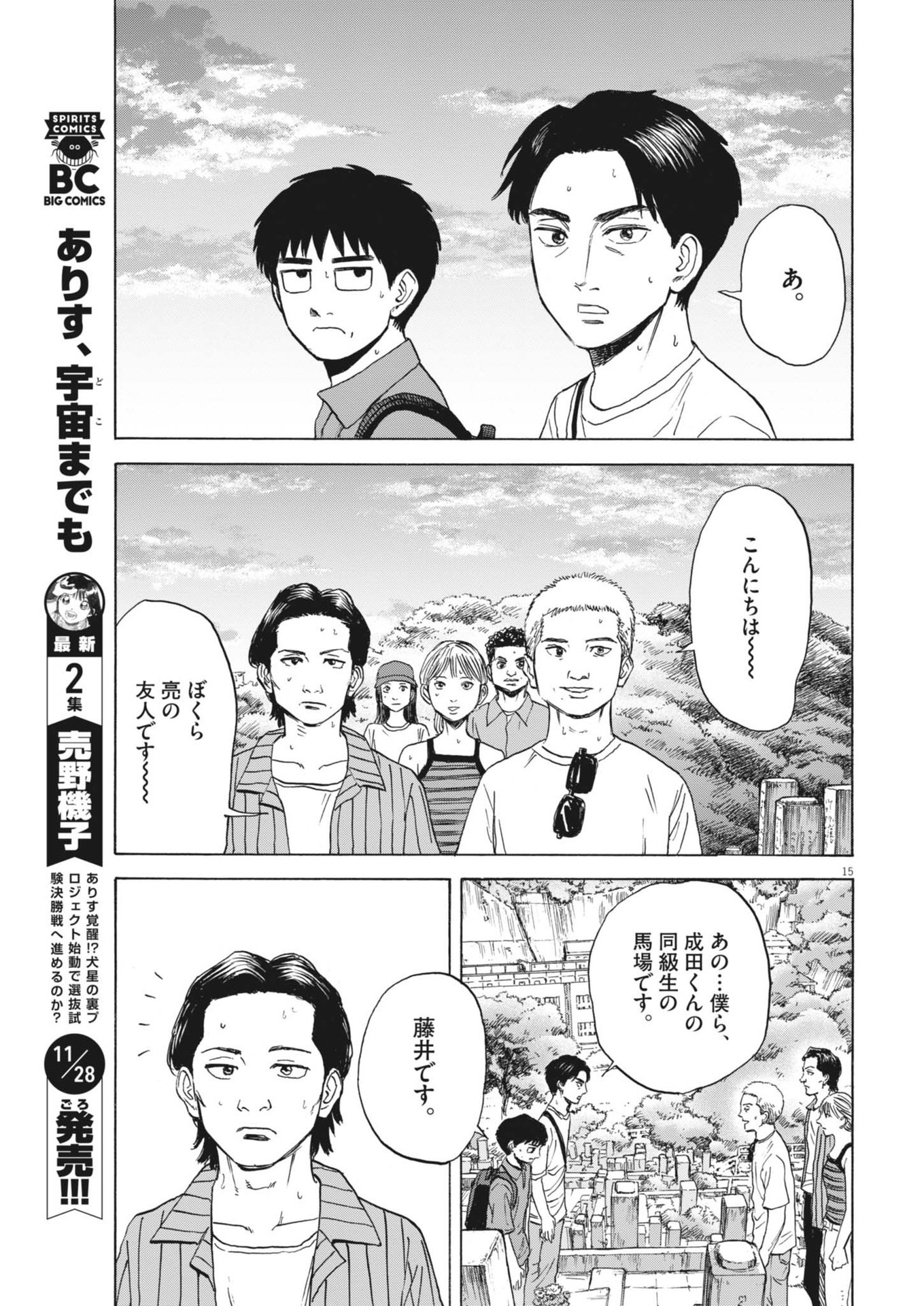 Page 15