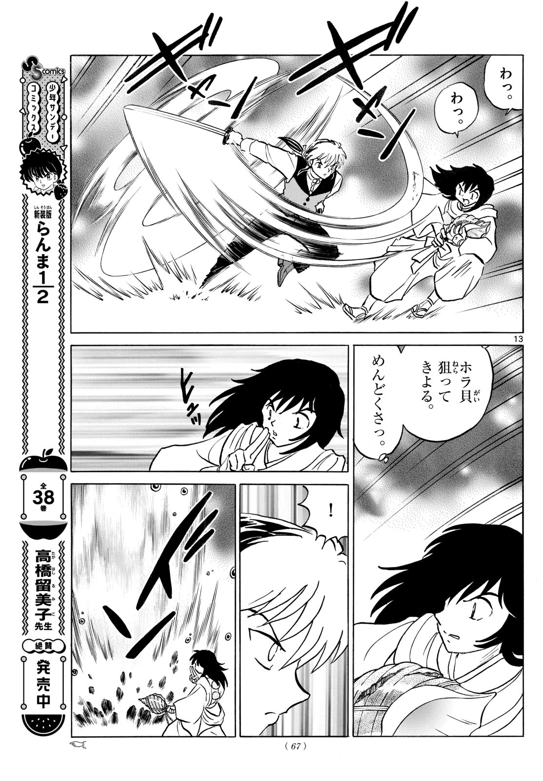 Page 13