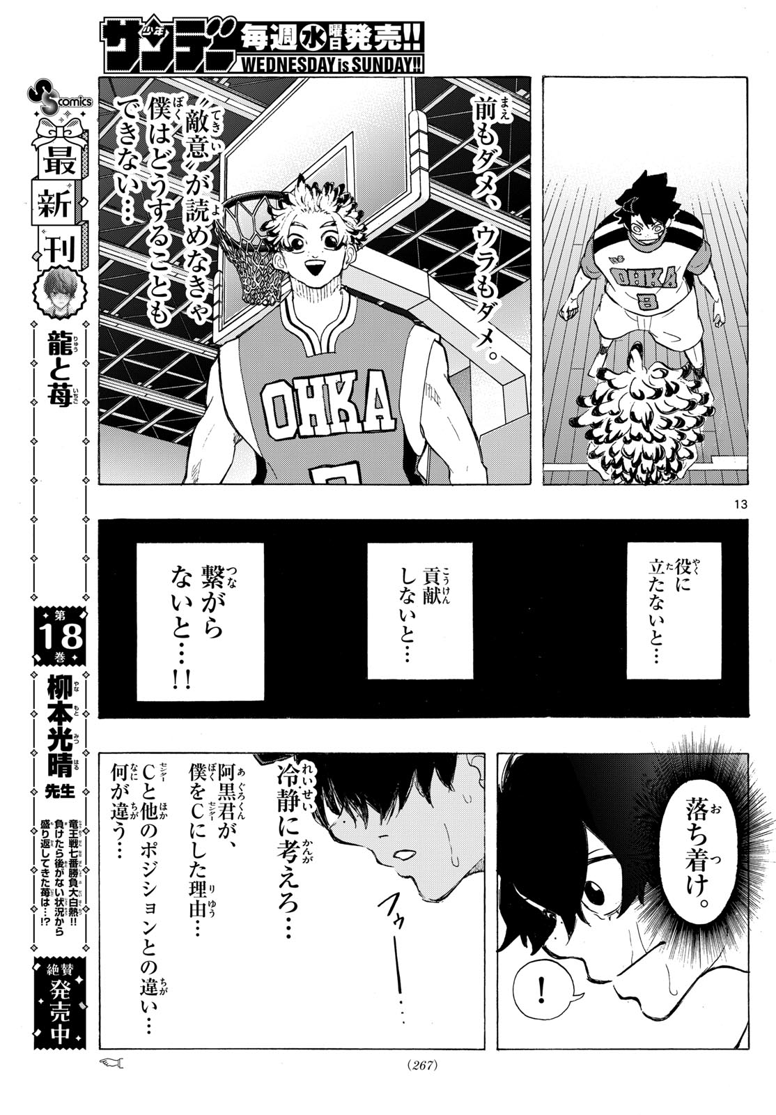 Page 13