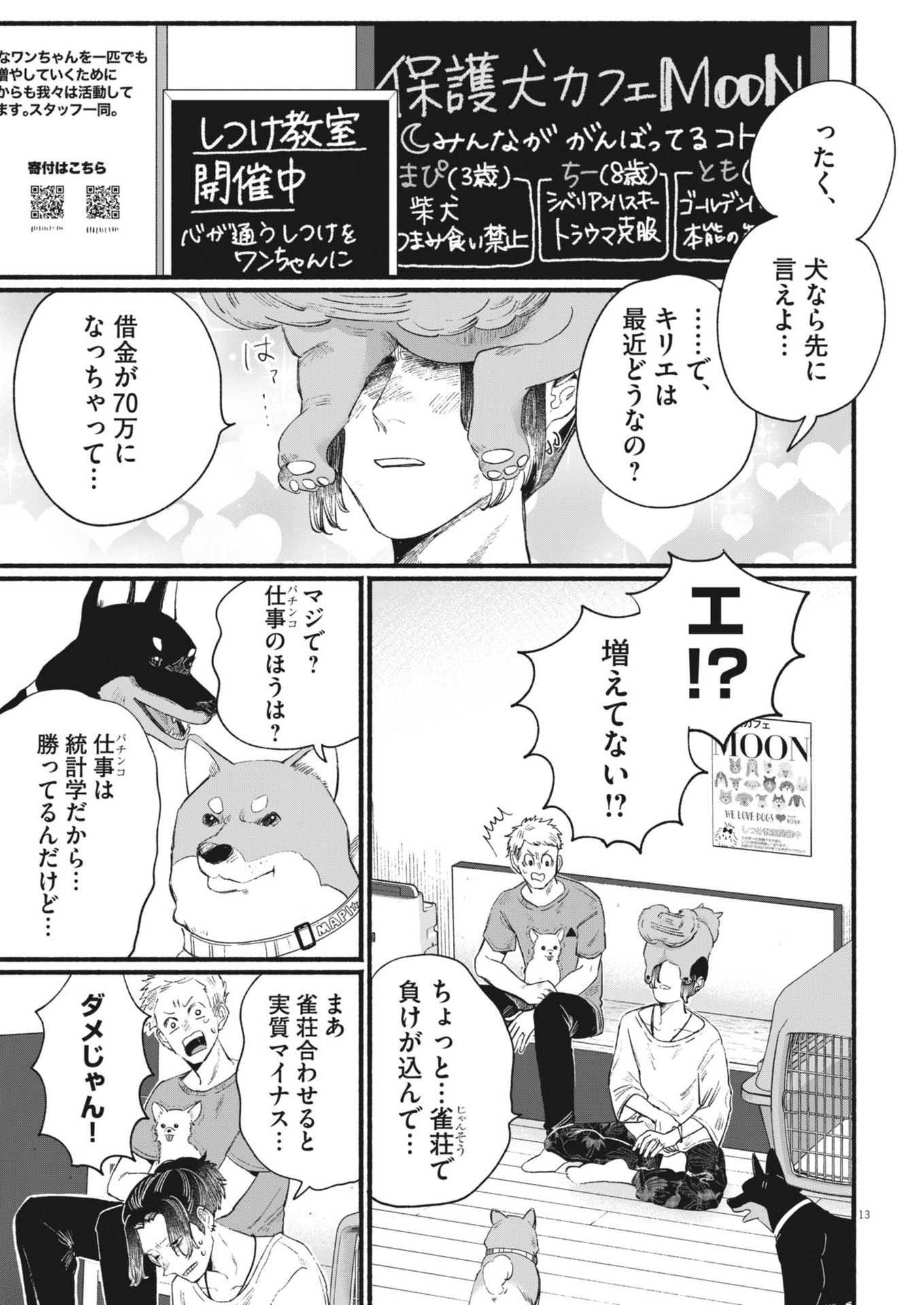 Page 13