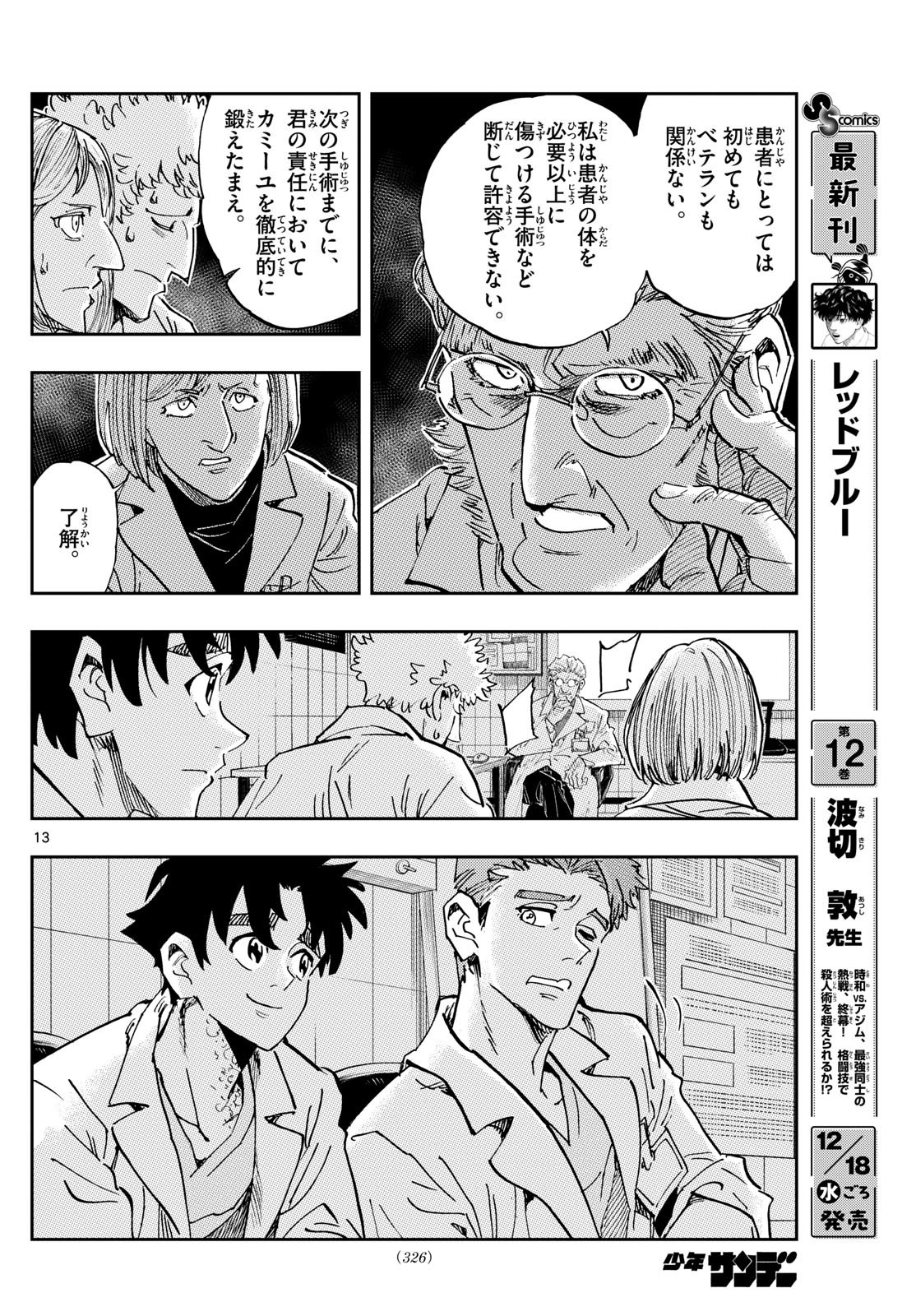 Page 13