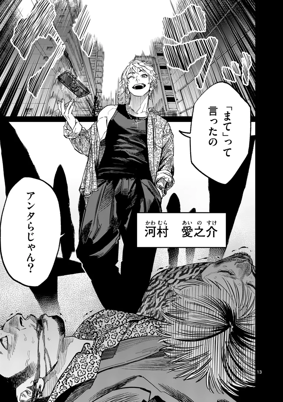 Page 13