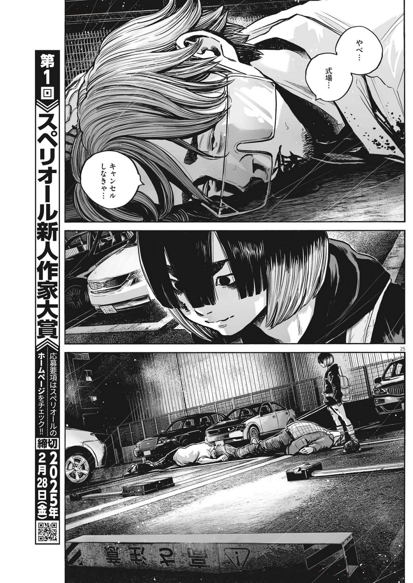 Page 25