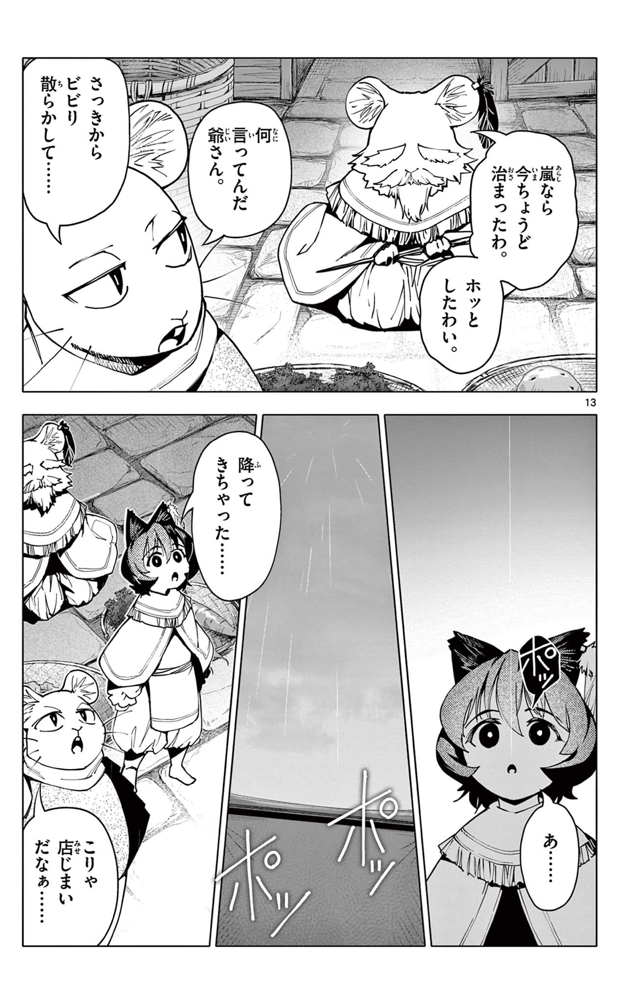 Page 13