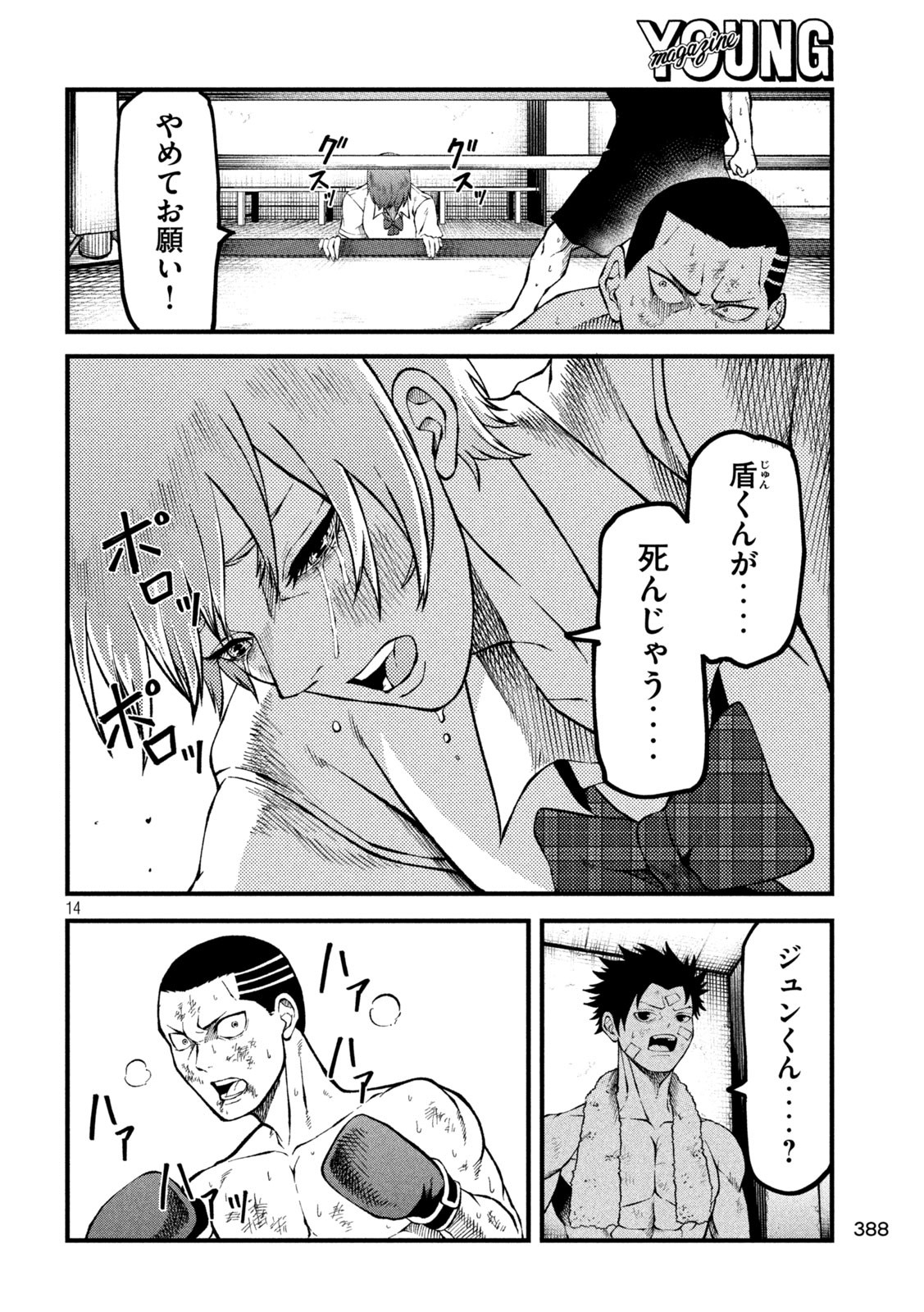 Page 14