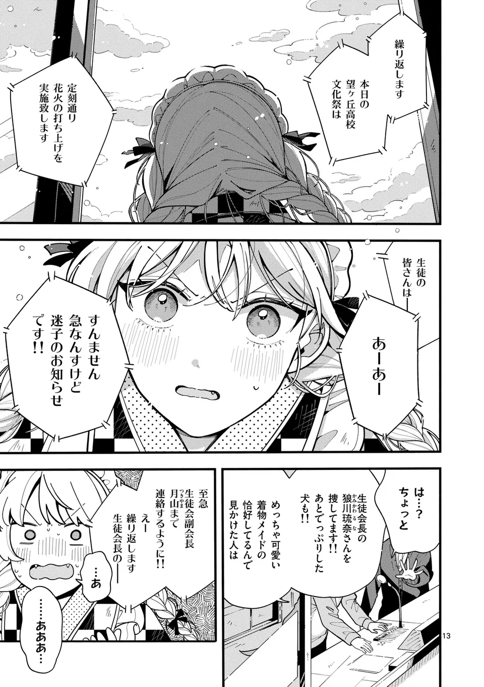 Page 13