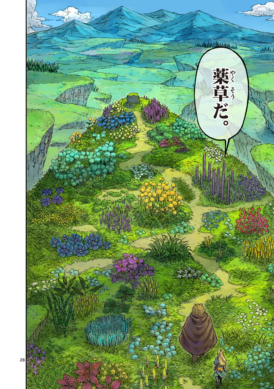 Page 28