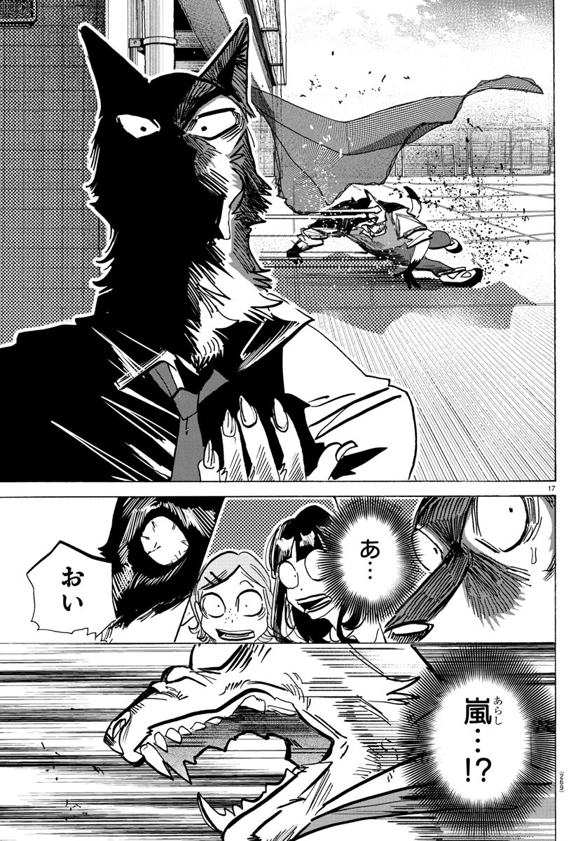 Page 17
