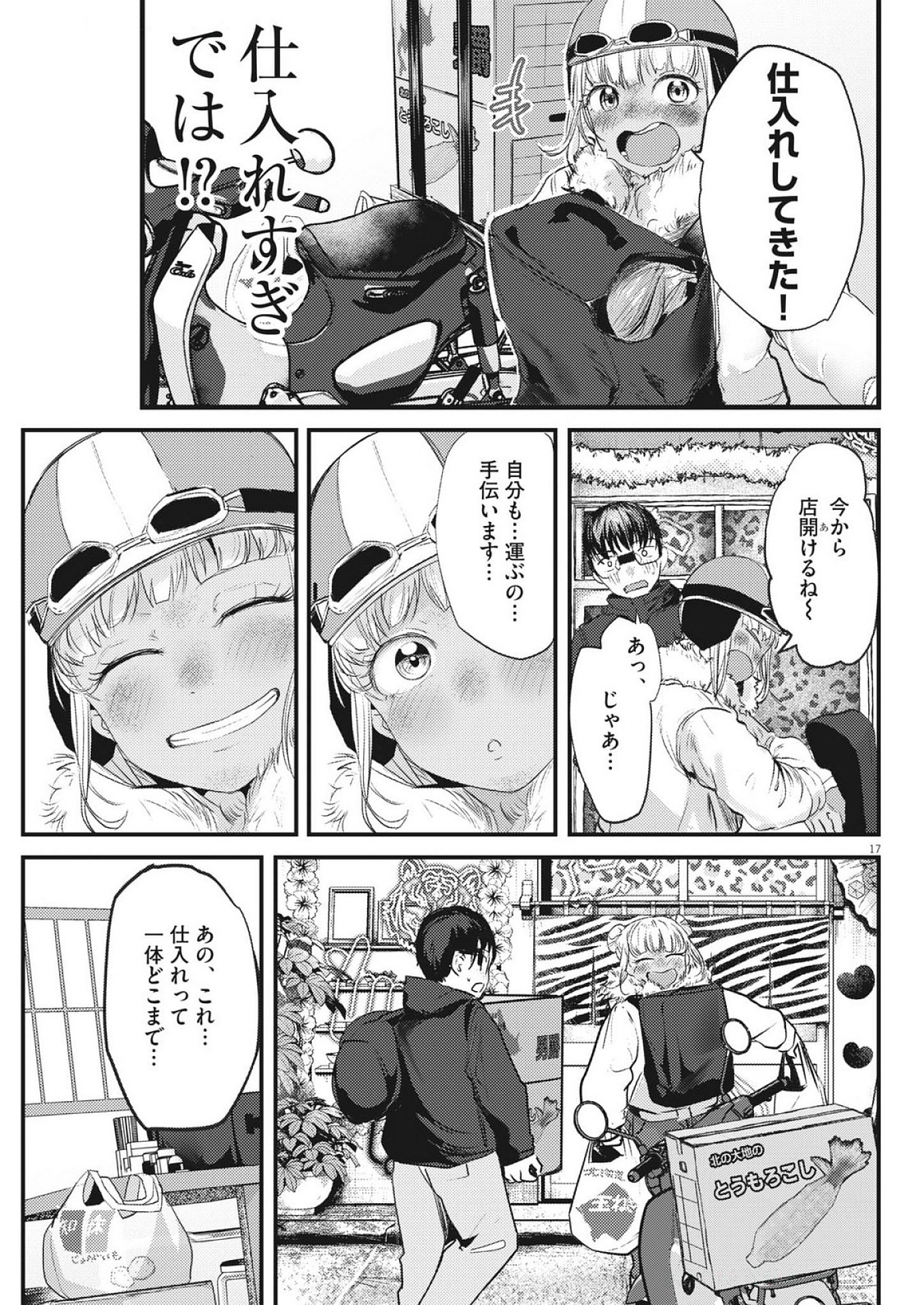 Page 17