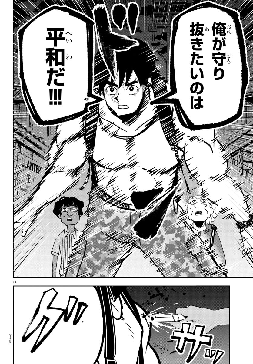 Page 14