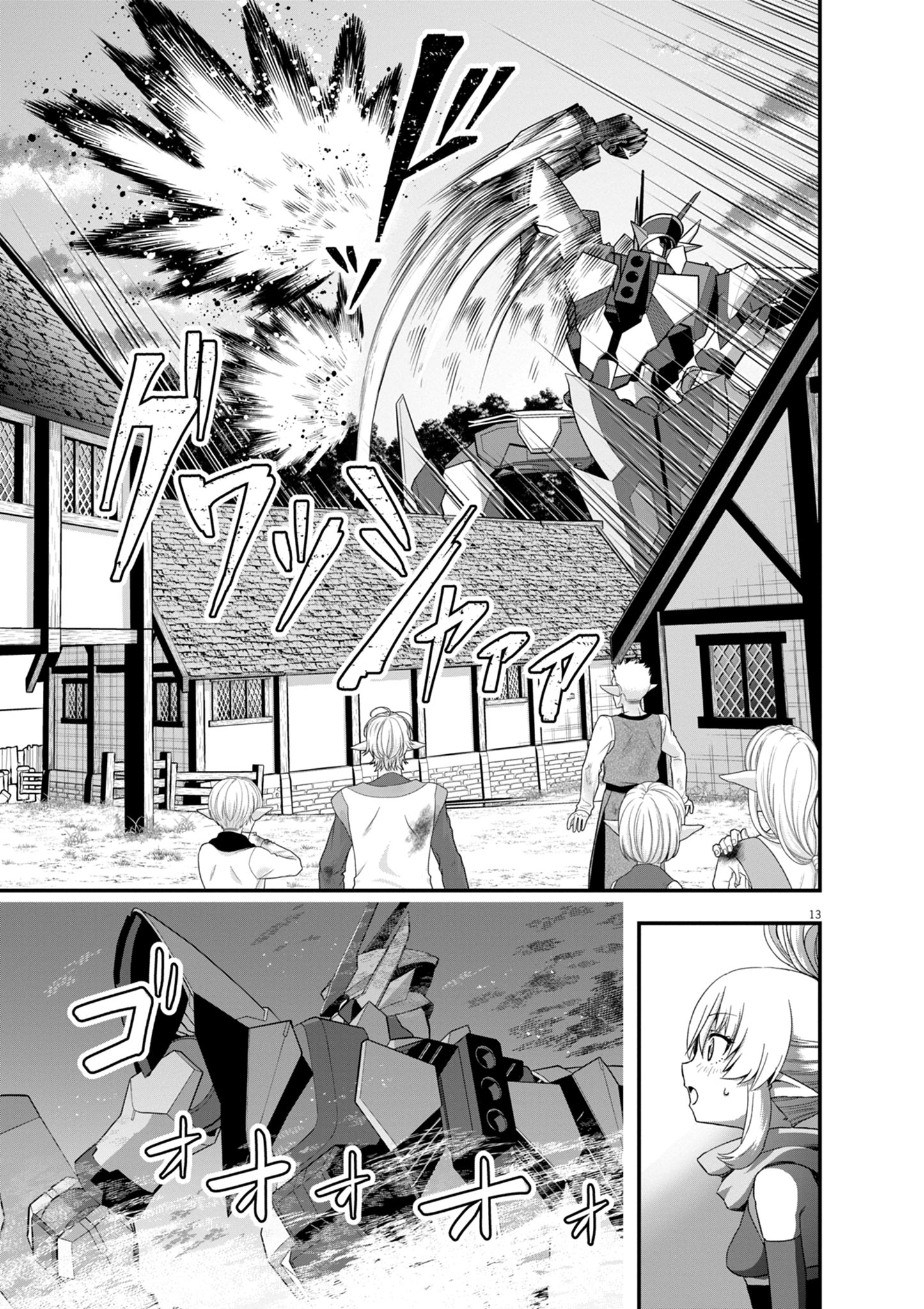 Page 13