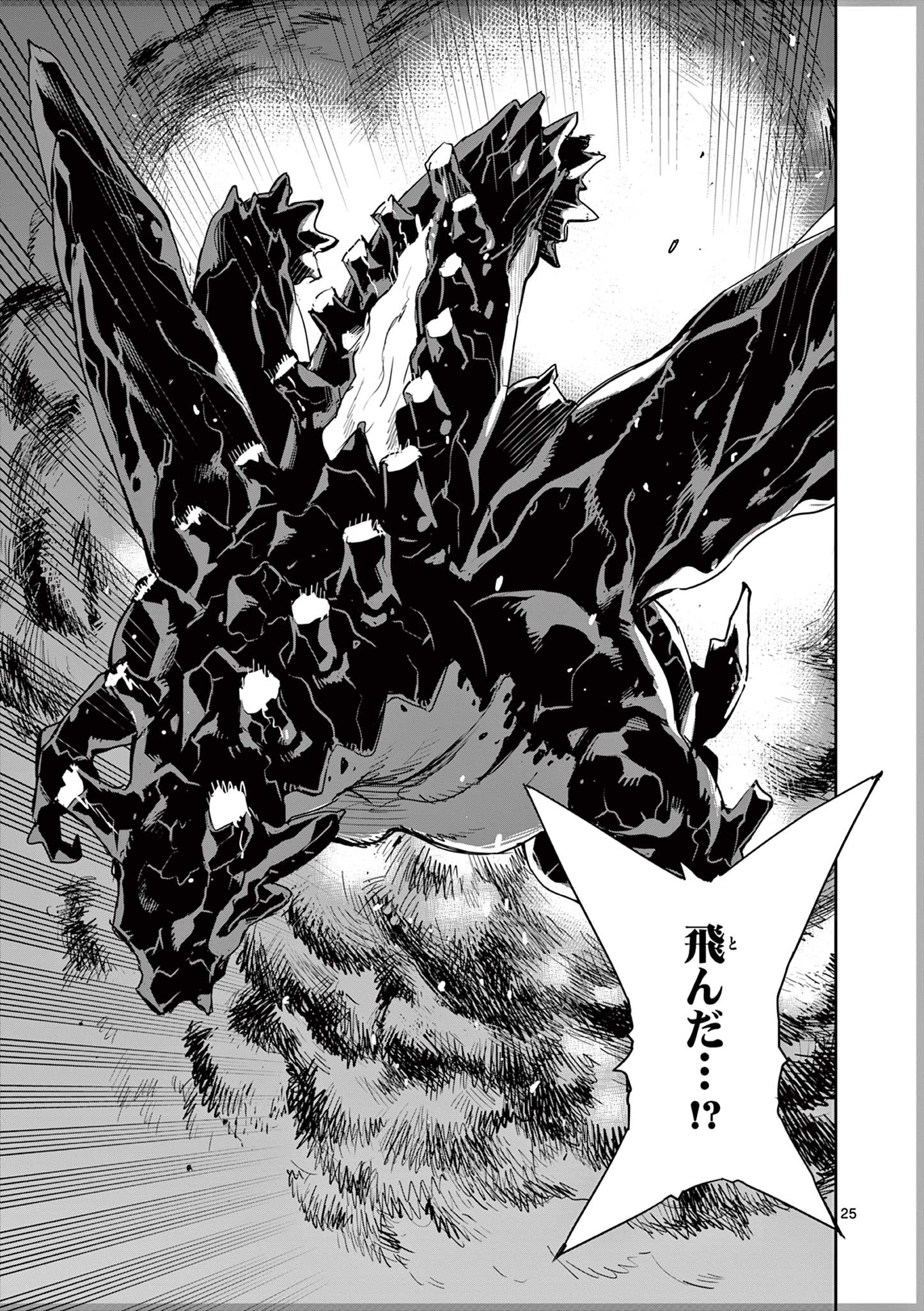 Page 25