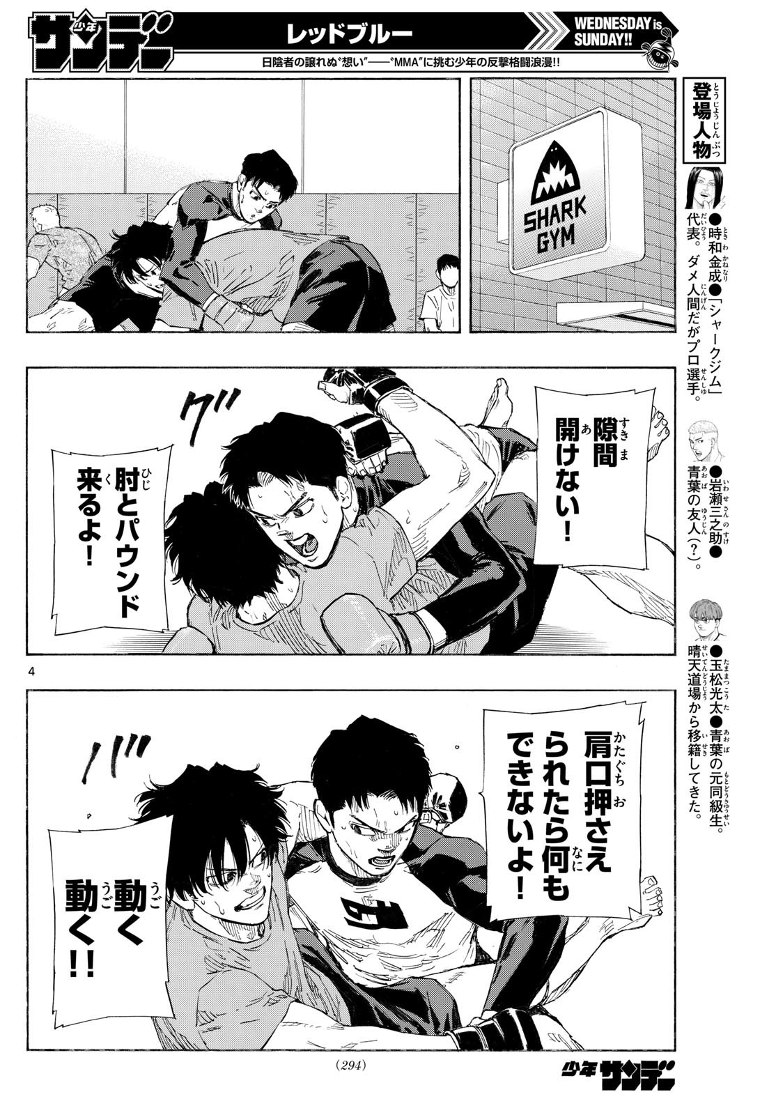 Page 4