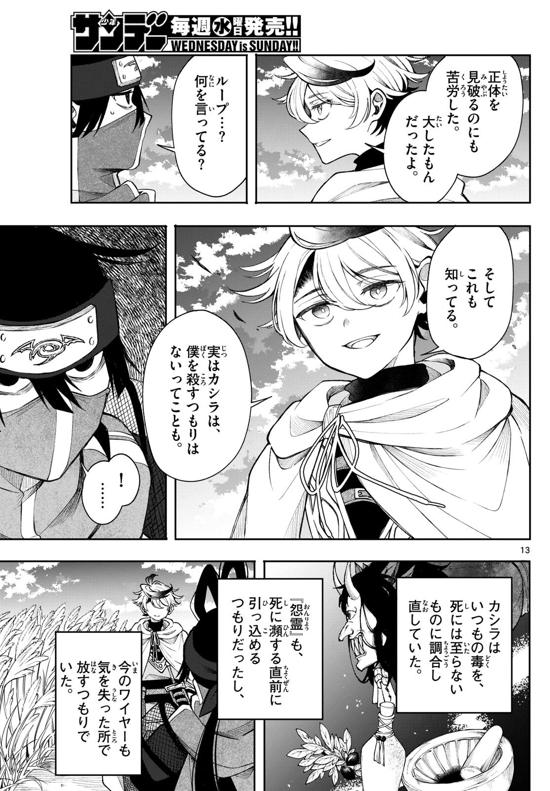 Page 13