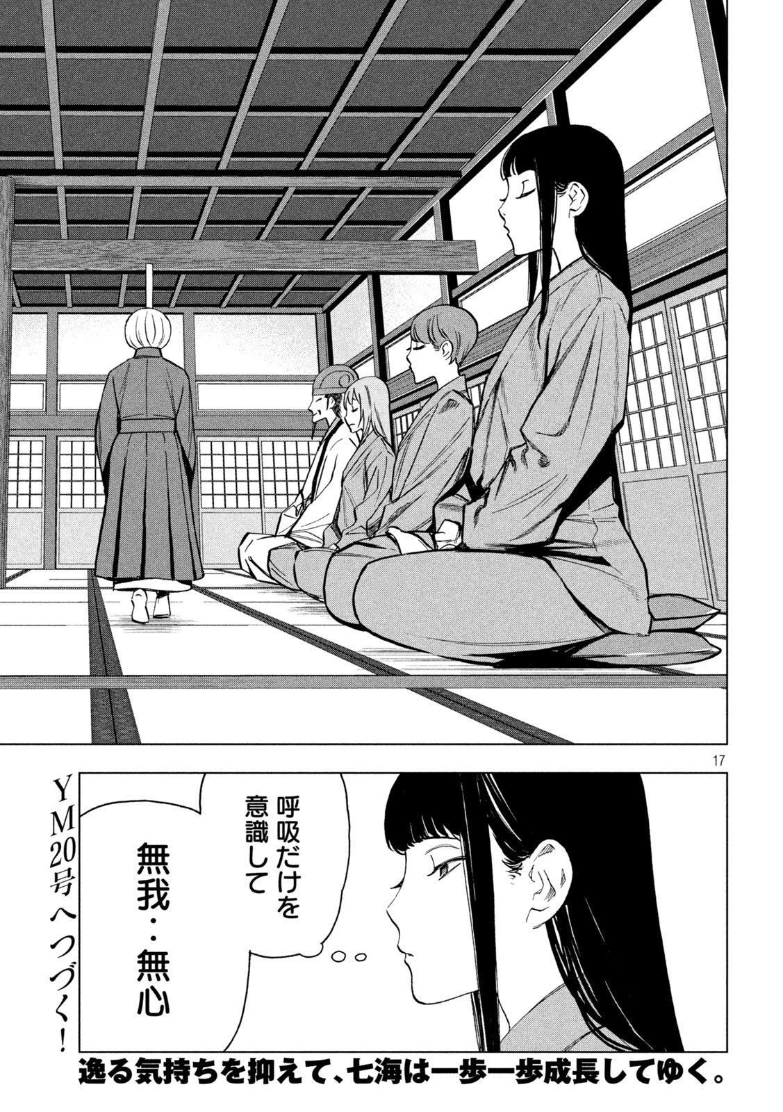 Page 17