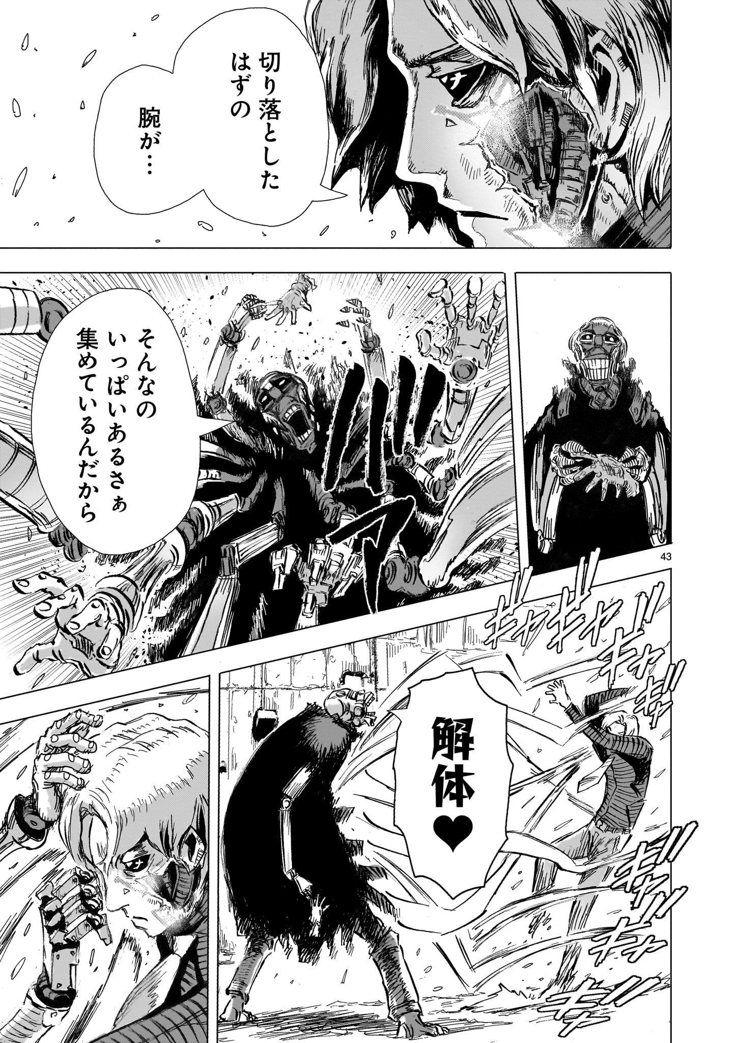 Page 43